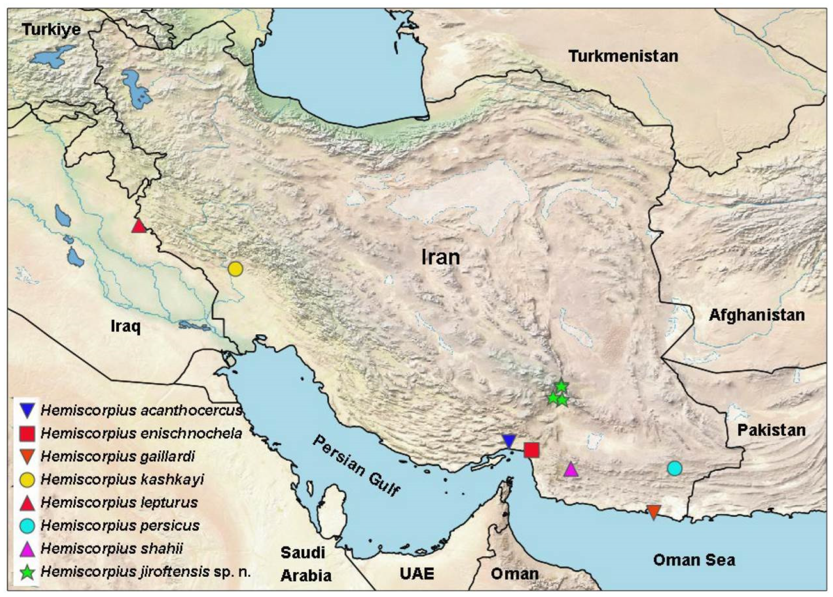 Diversity 17 00321 g001