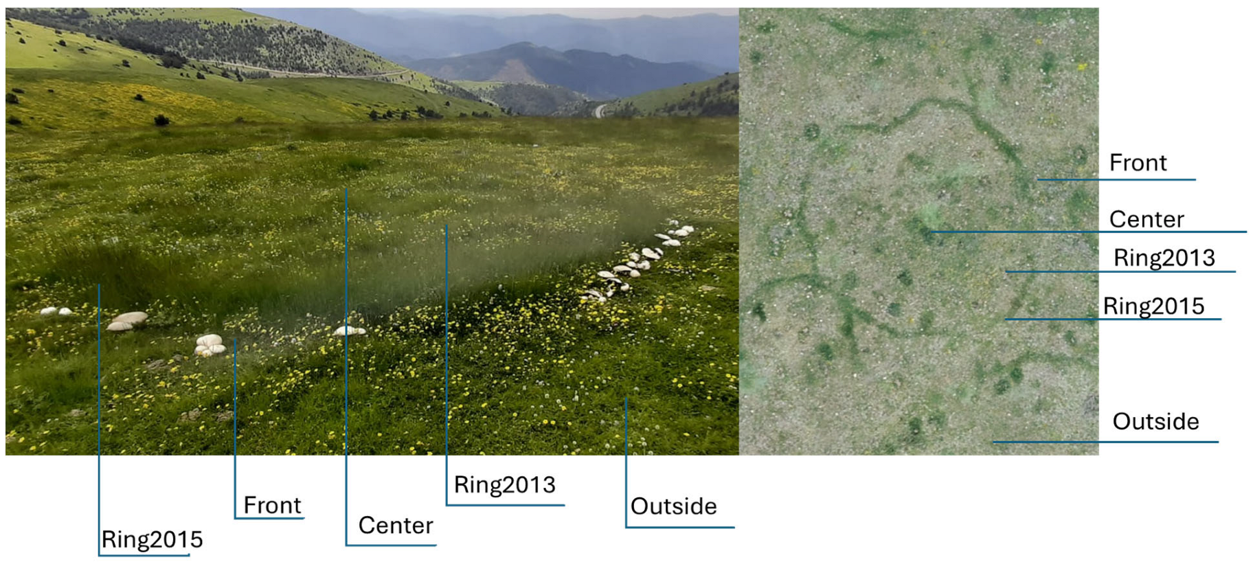 Diversity 17 00322 g001