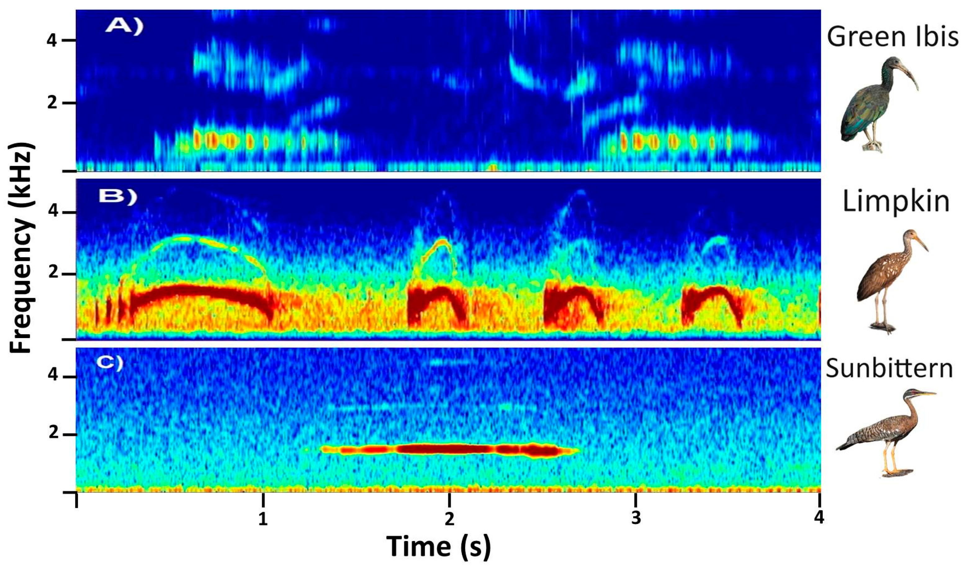Diversity 17 00324 g001
