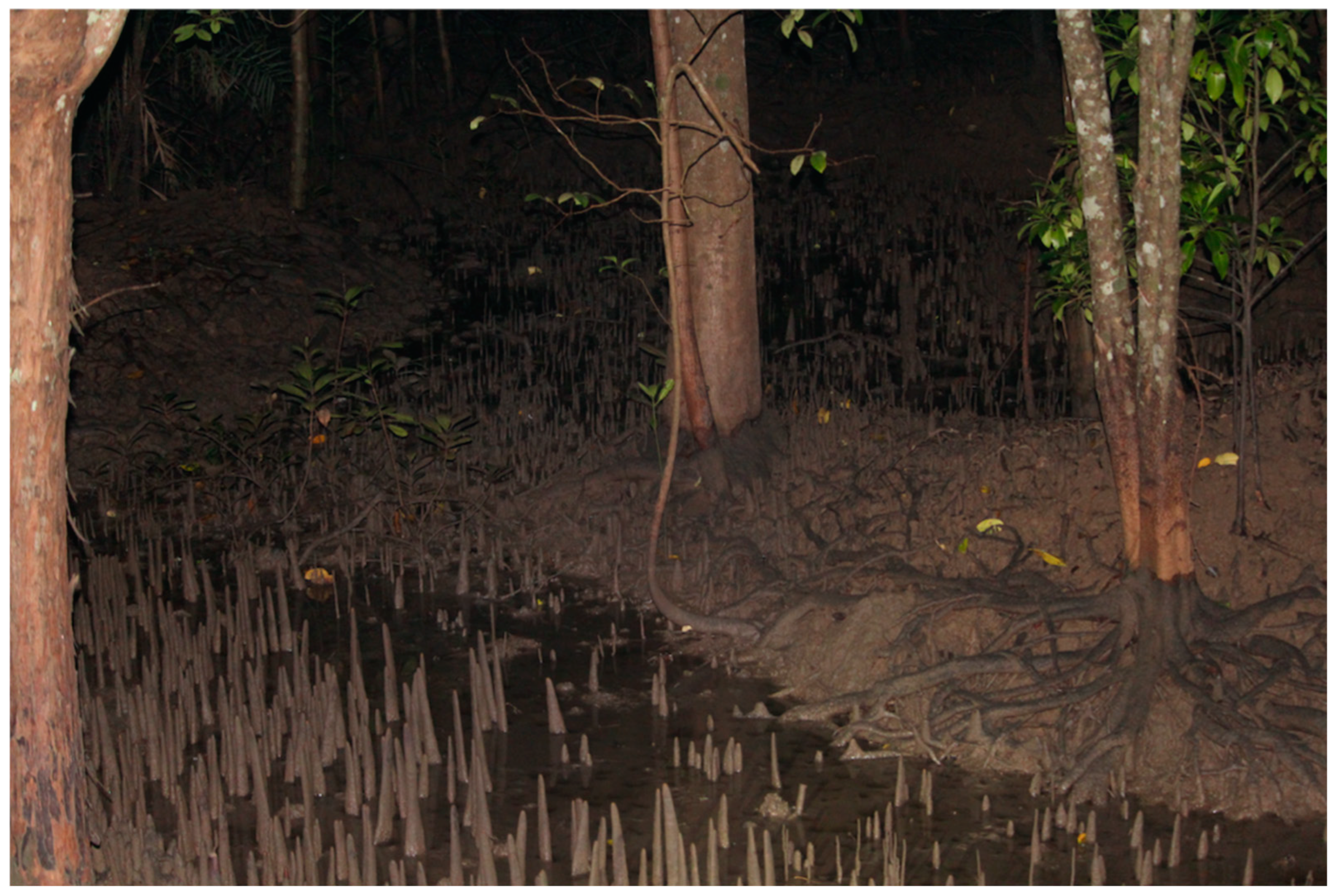 Diversity 17 00326 g001