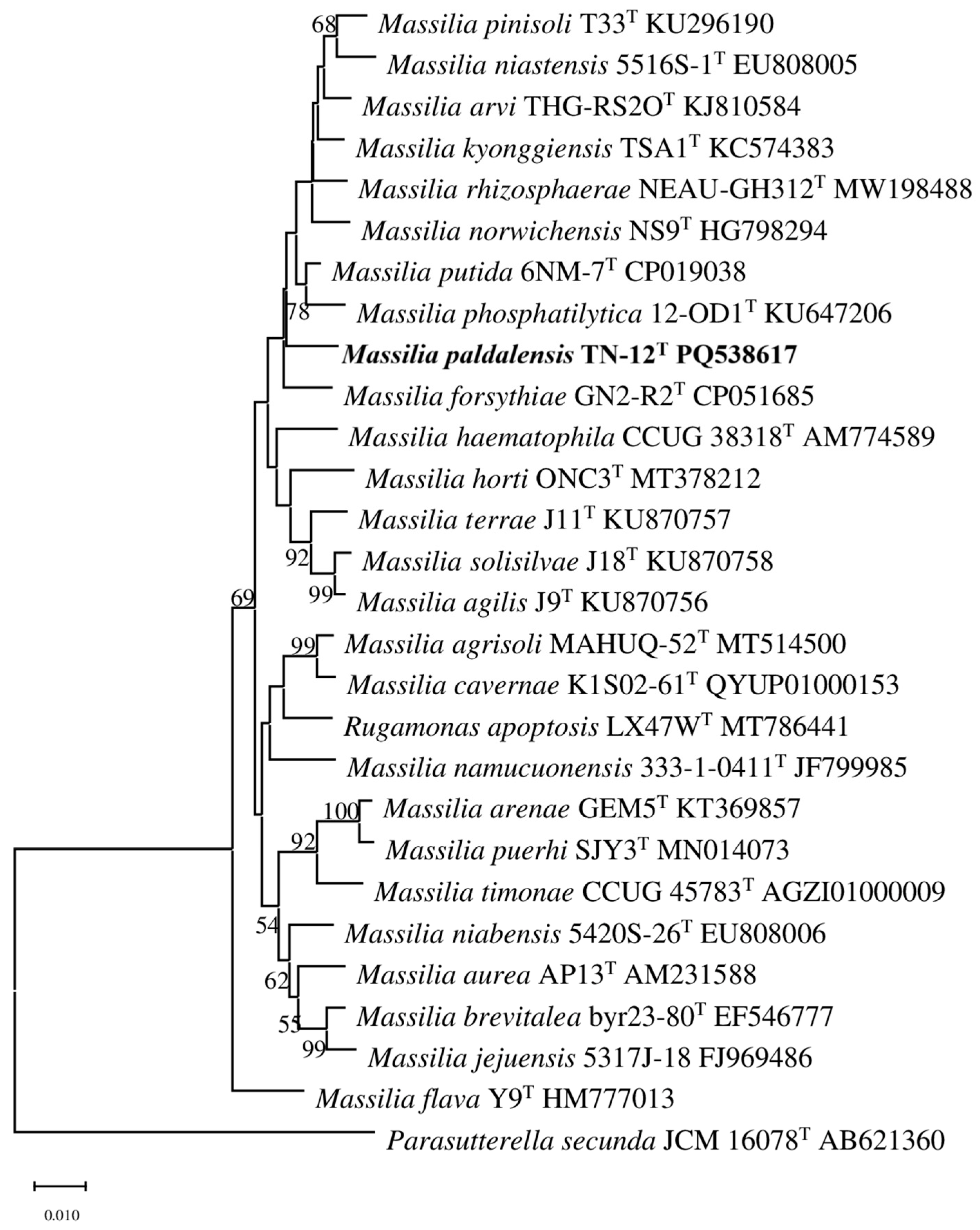 Diversity 17 00327 g001