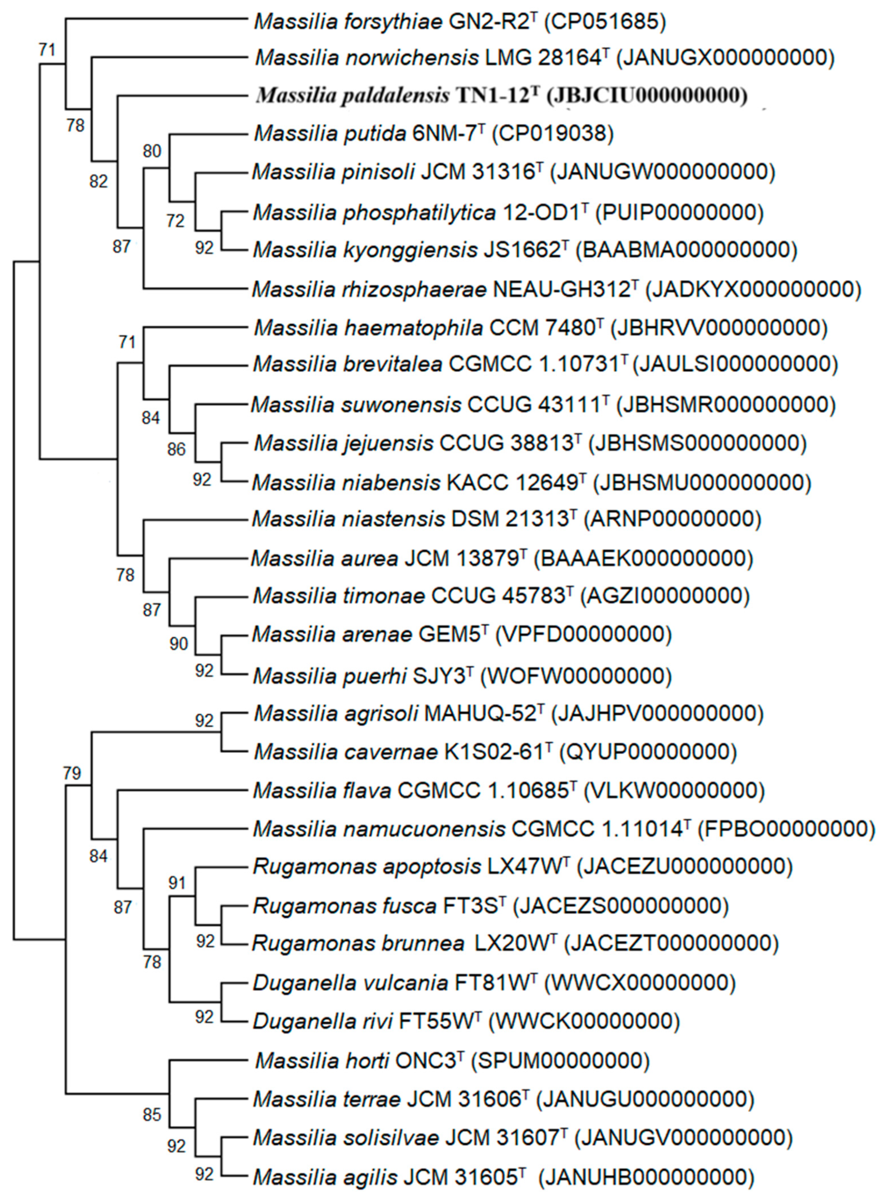 Diversity 17 00327 g002