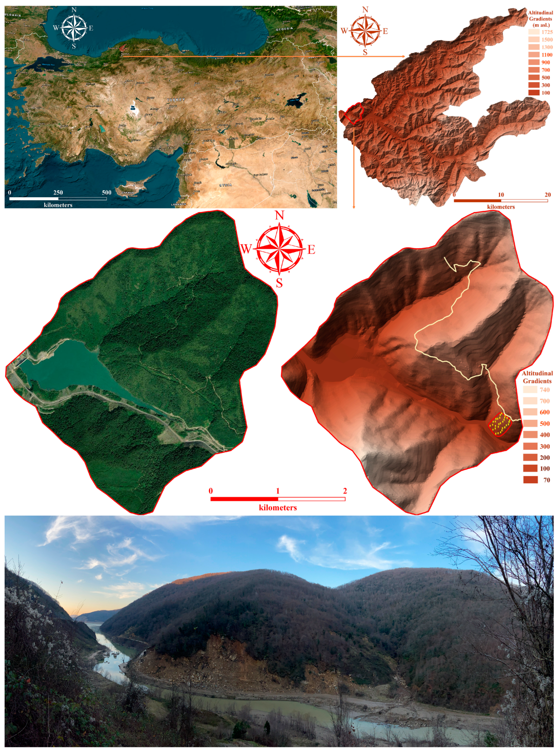 Diversity 17 00331 g002