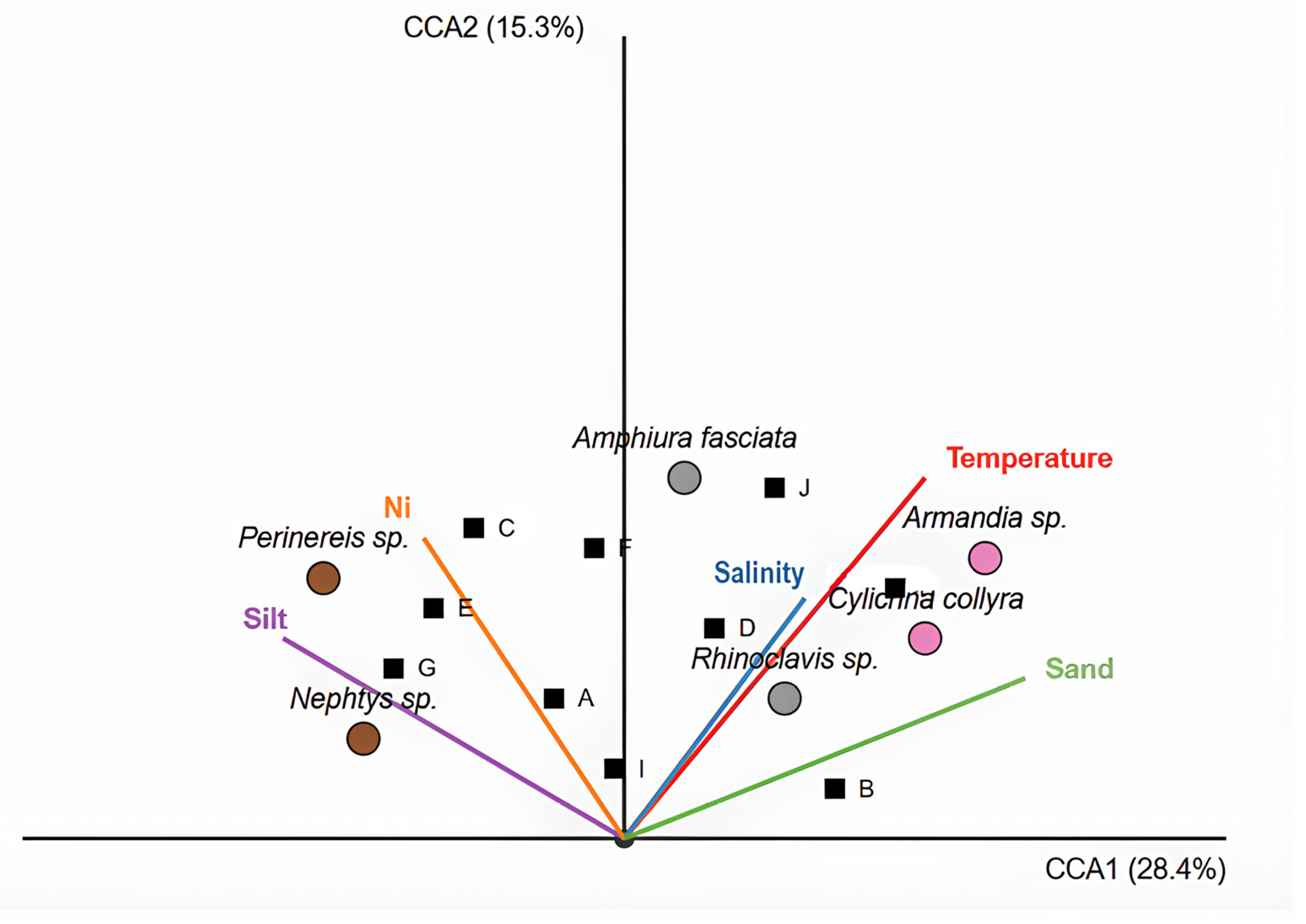 Diversity 17 00332 g005