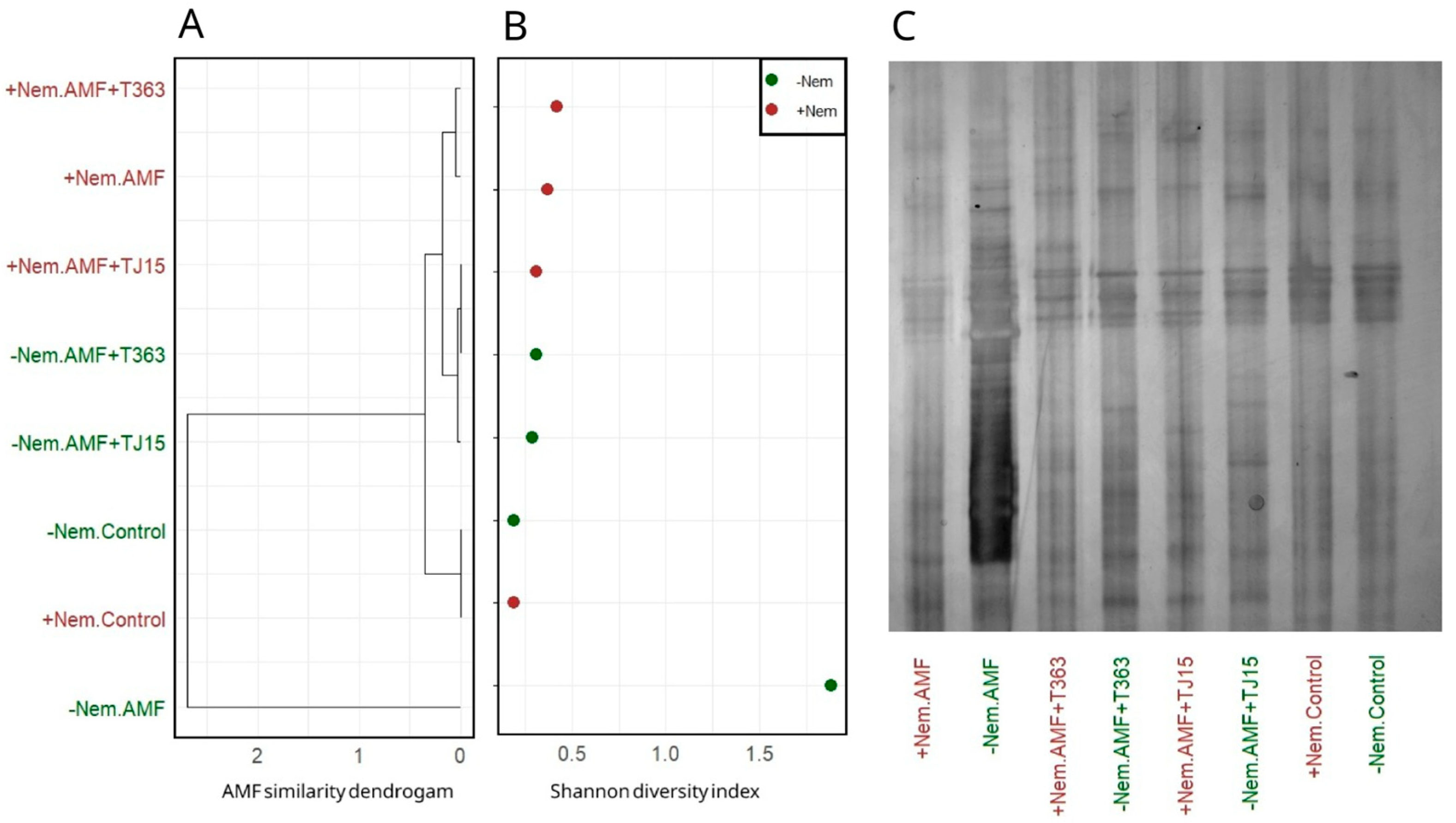 Diversity 17 00334 g004