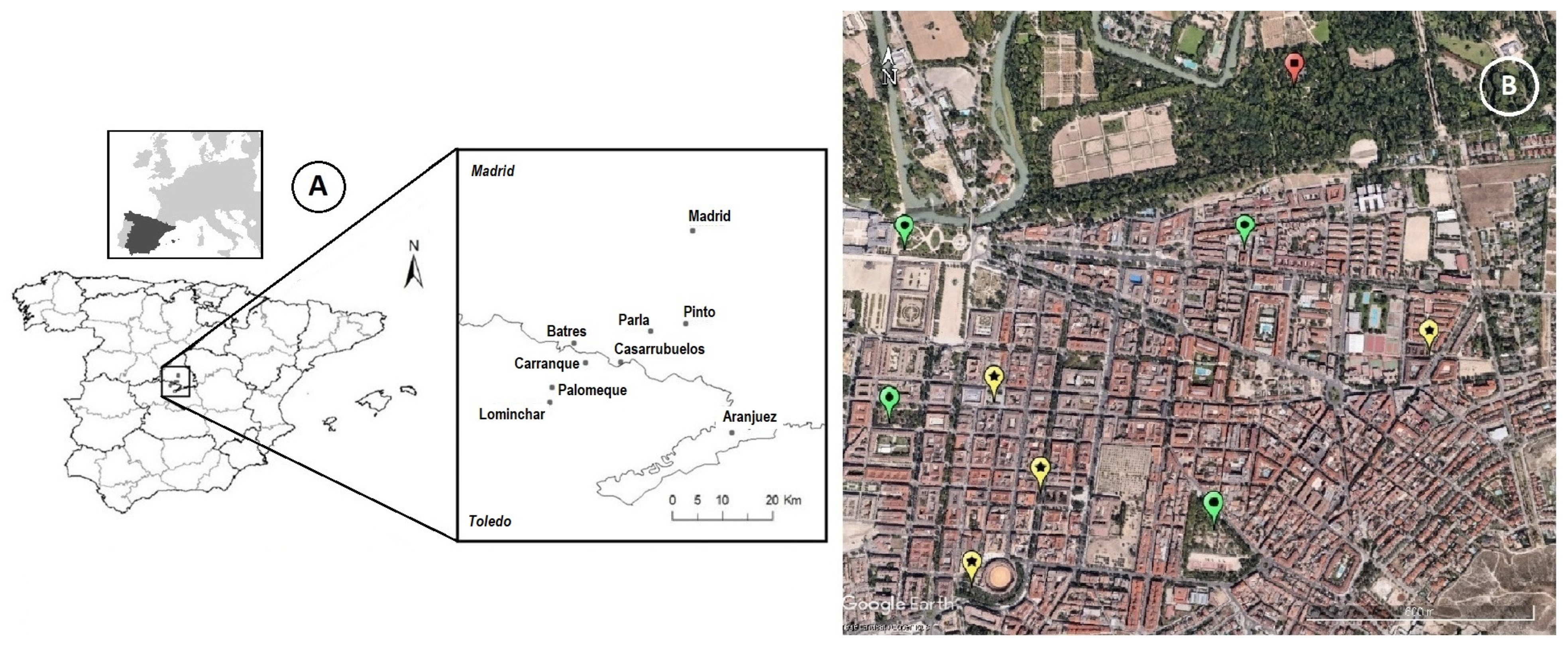 Diversity 17 00338 g001