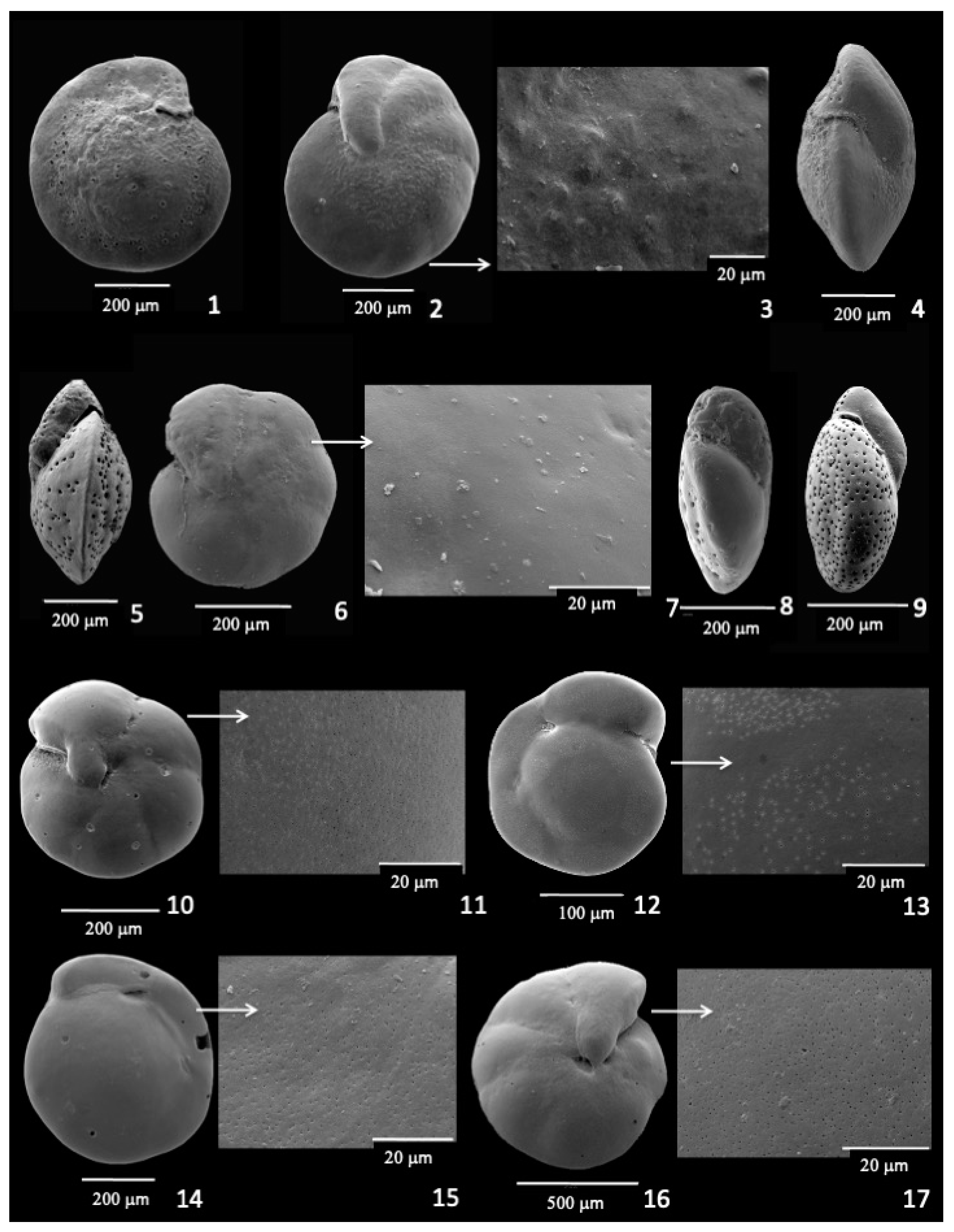 Diversity 17 00343 g003 Diversity 17 00343 g003