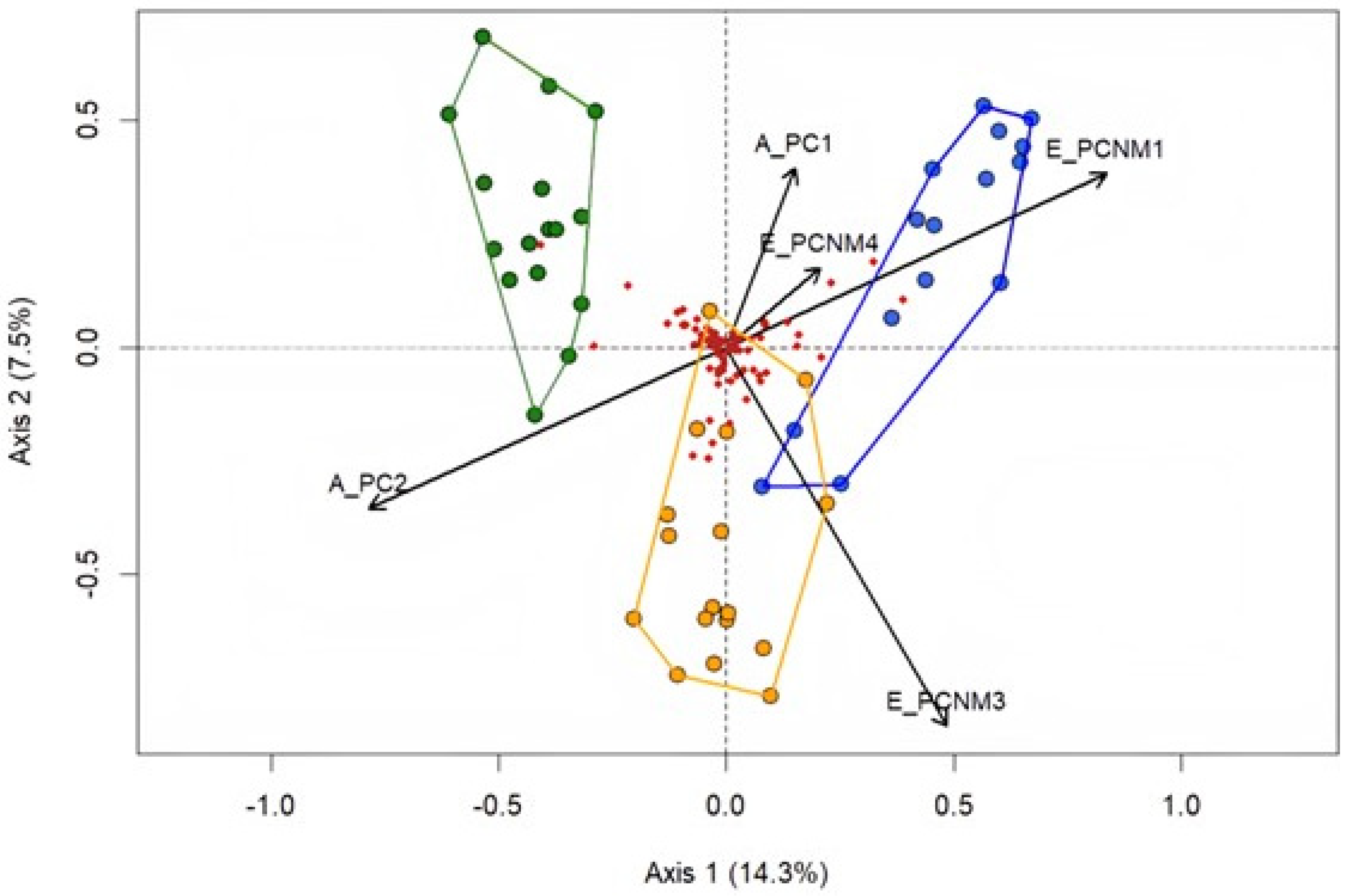 Diversity 17 00345 g007