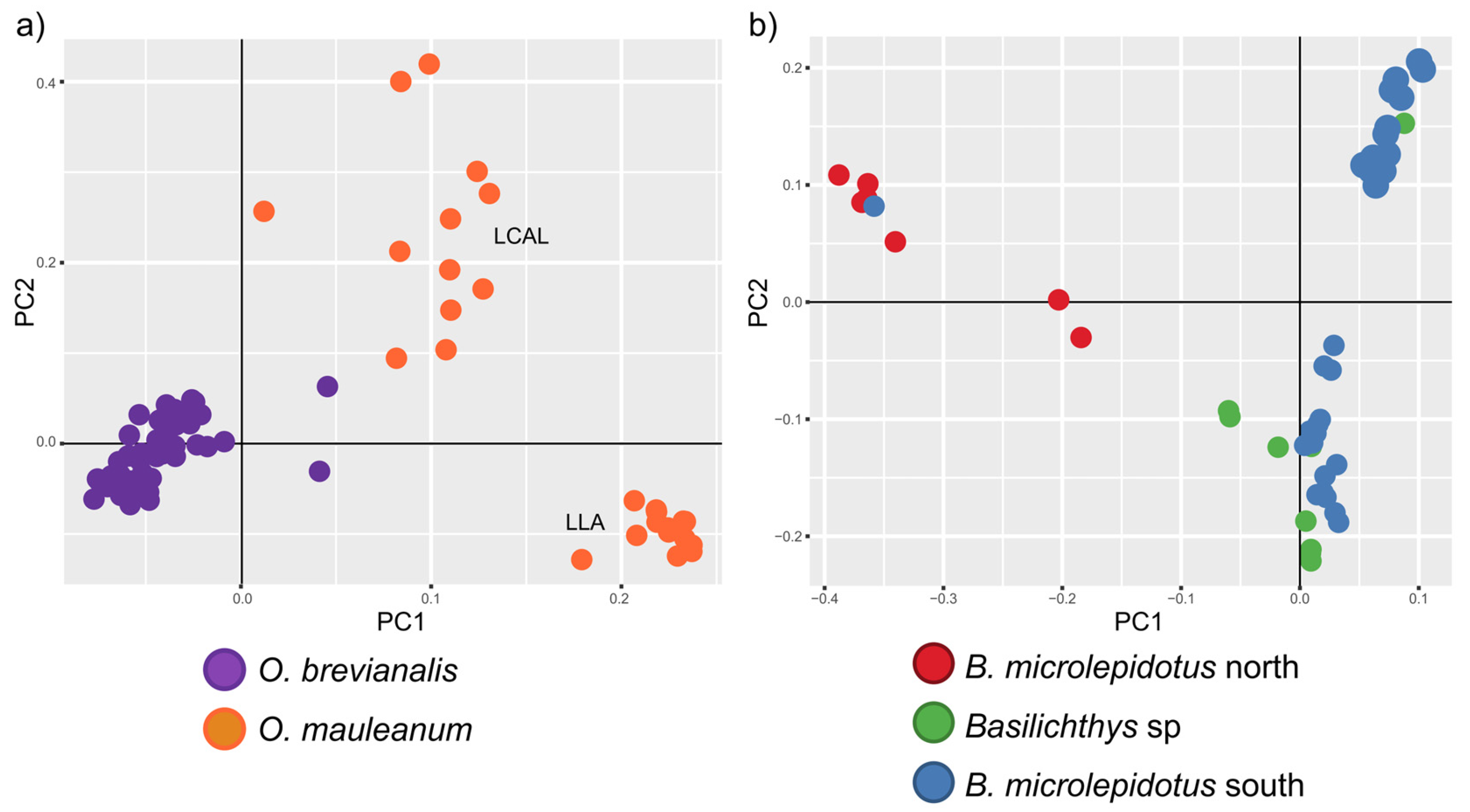 Diversity 17 00347 g005