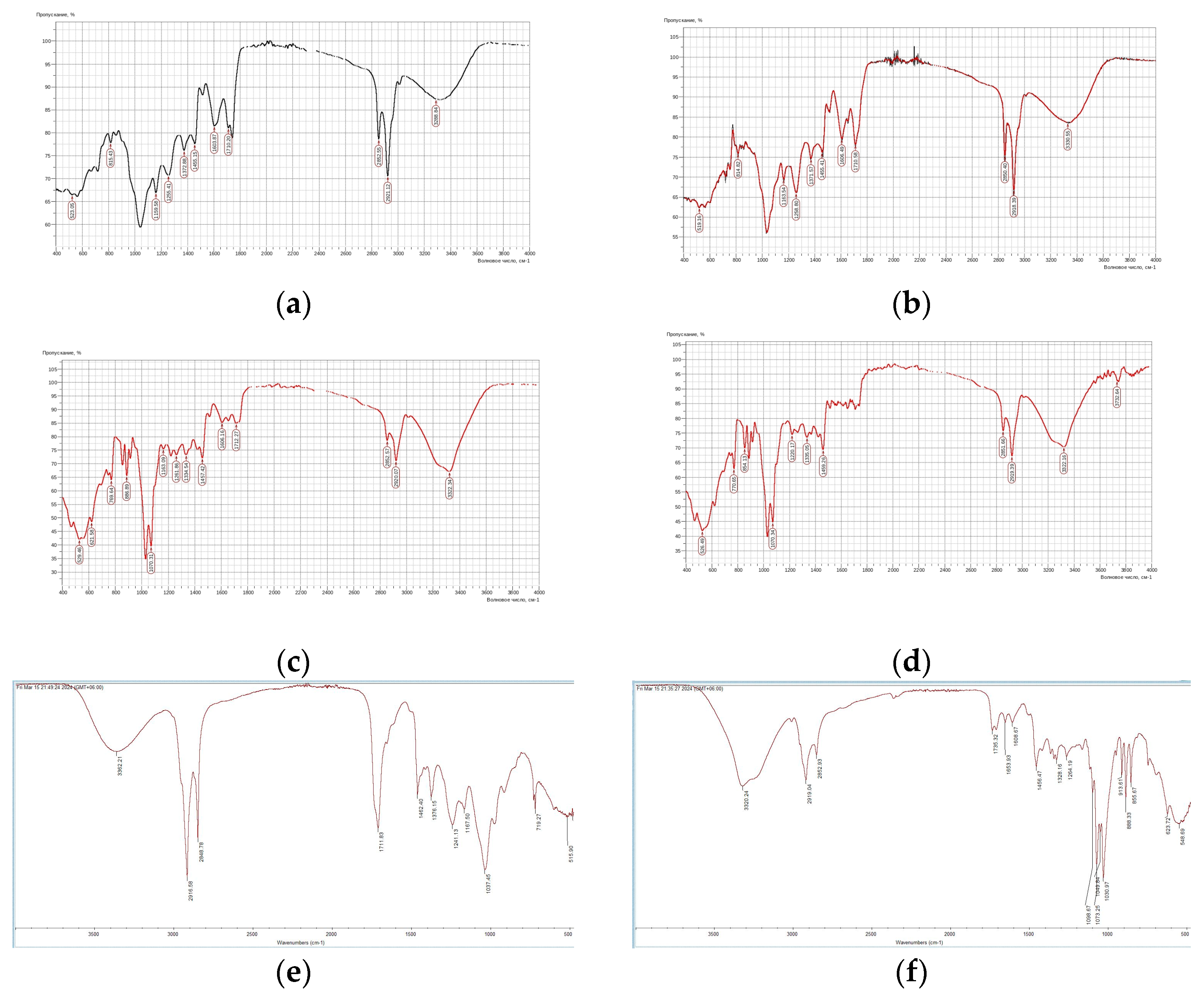Diversity 17 00352 g002