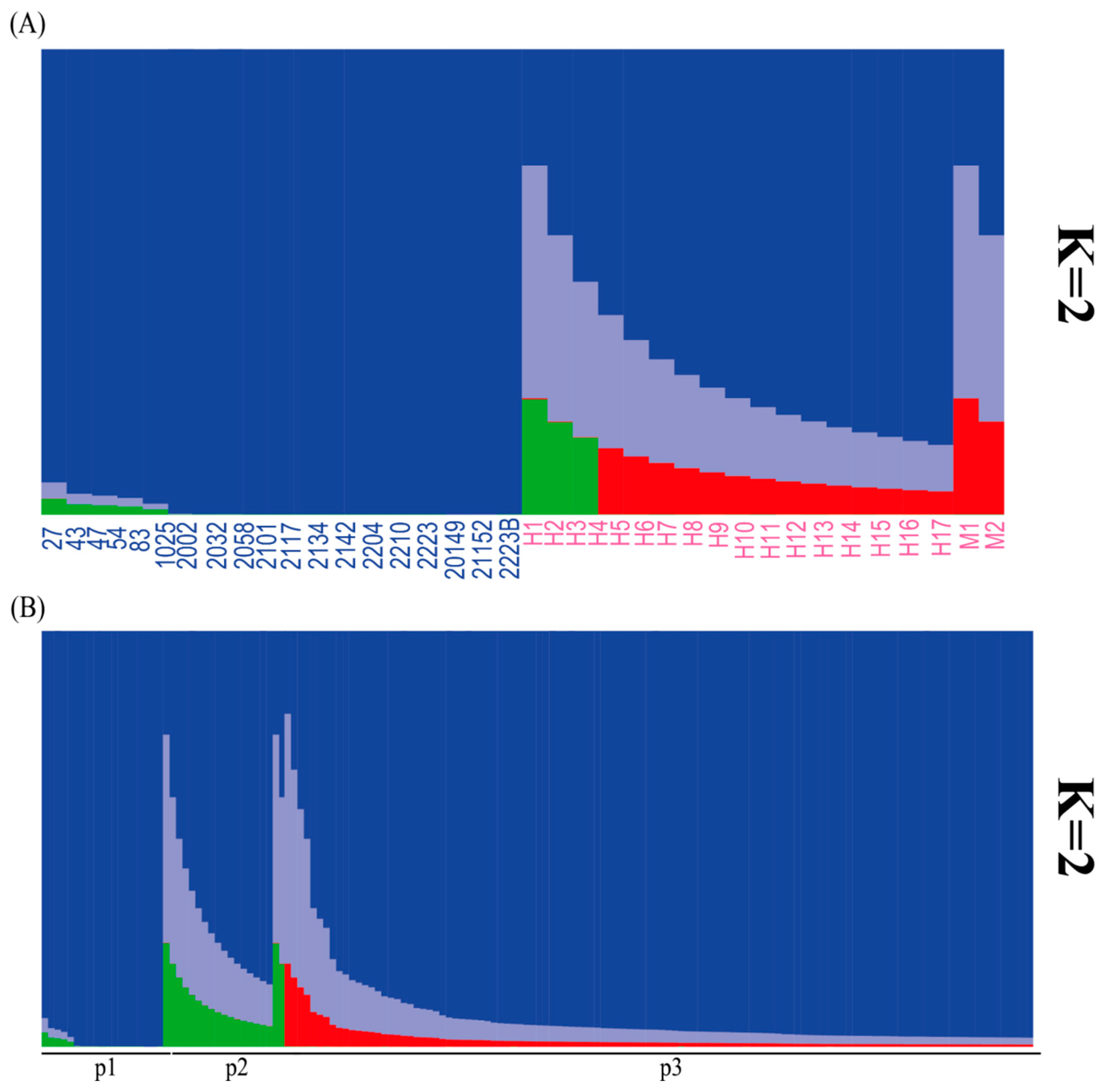 Diversity 17 00353 g004