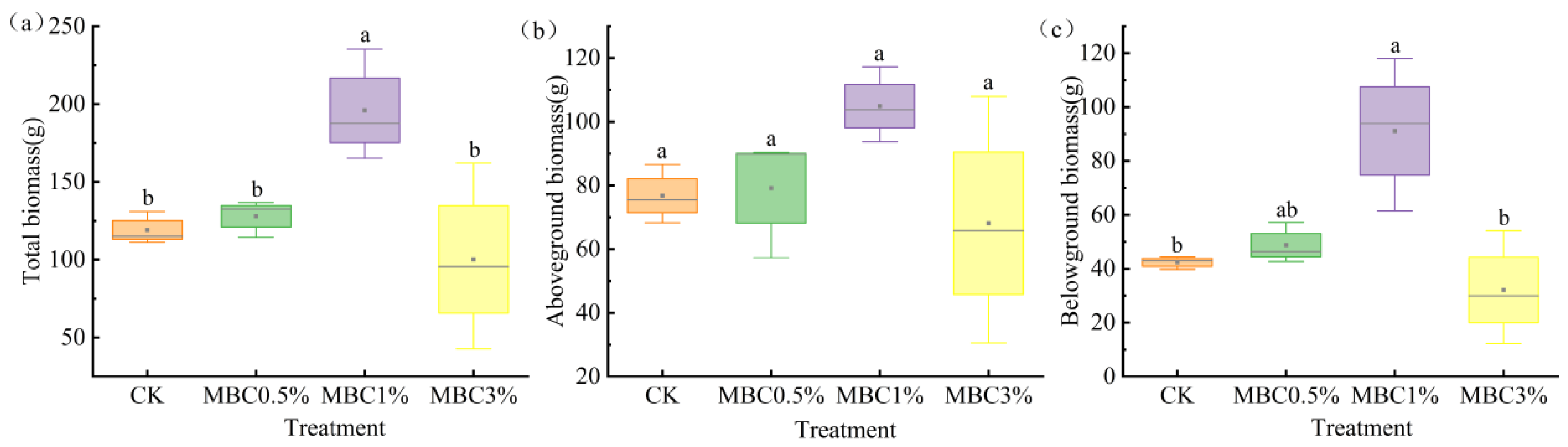 Diversity 17 00357 g001