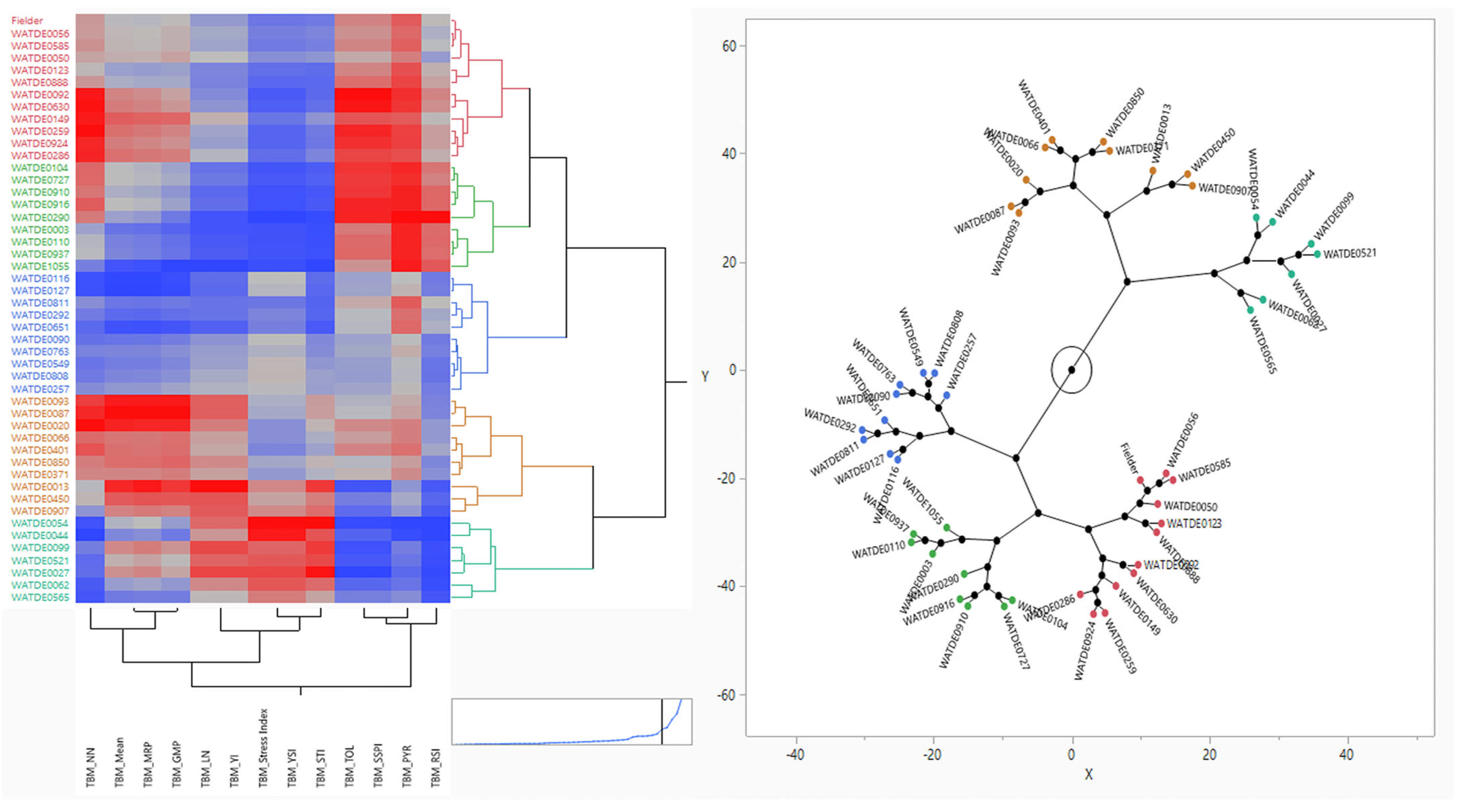 Diversity 17 00359 g006