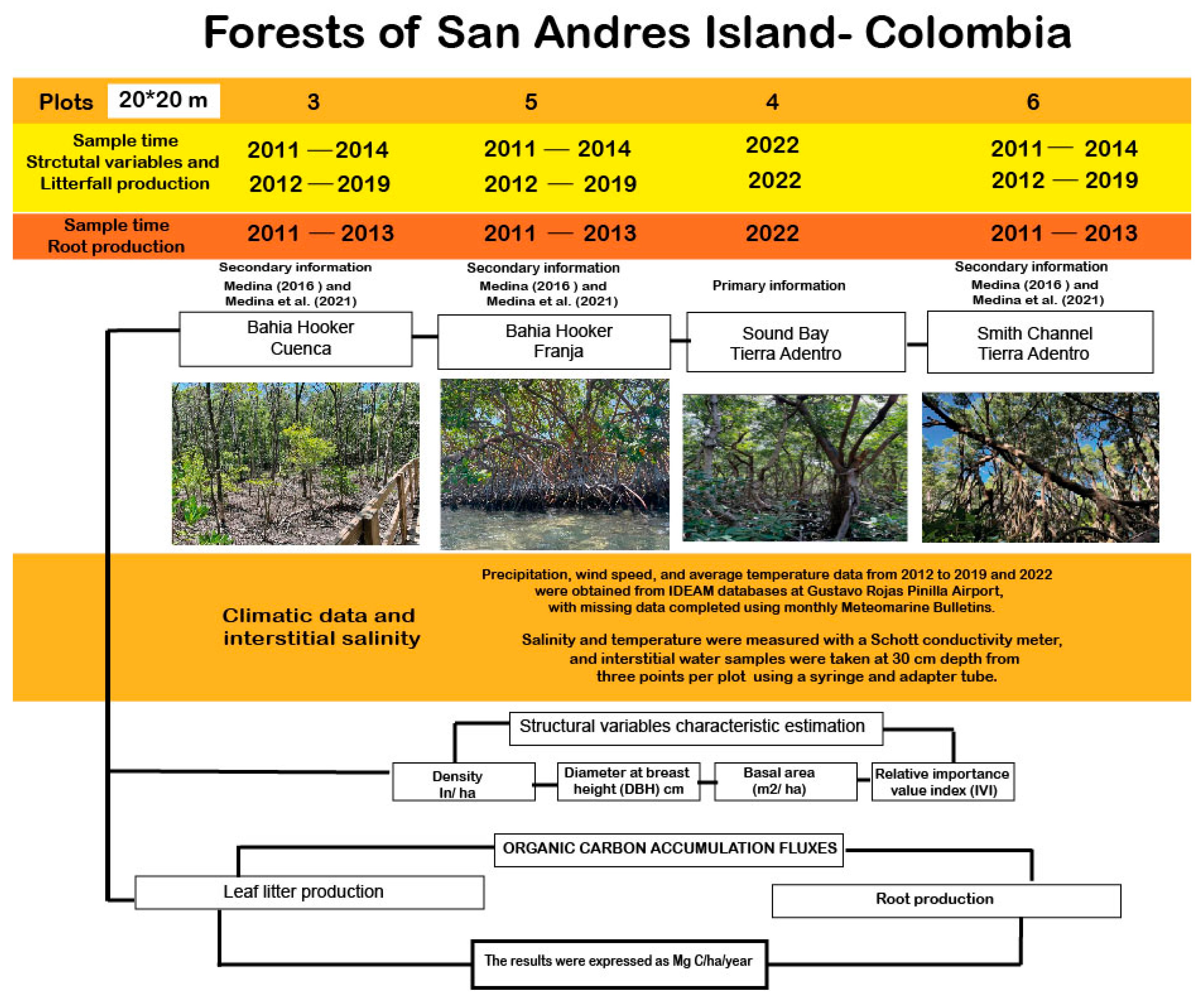 Diversity 17 00360 g002