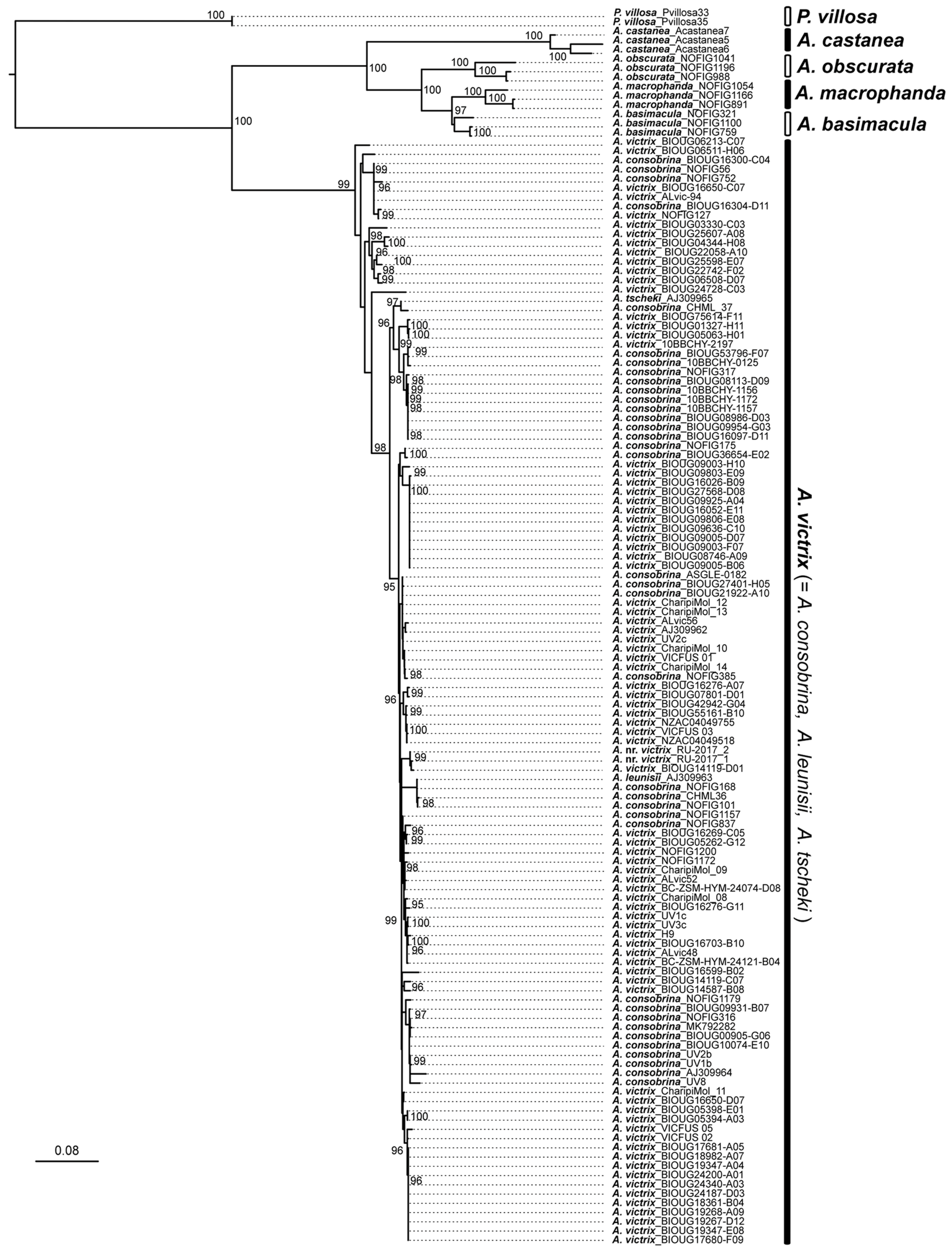Diversity 17 00362 g002