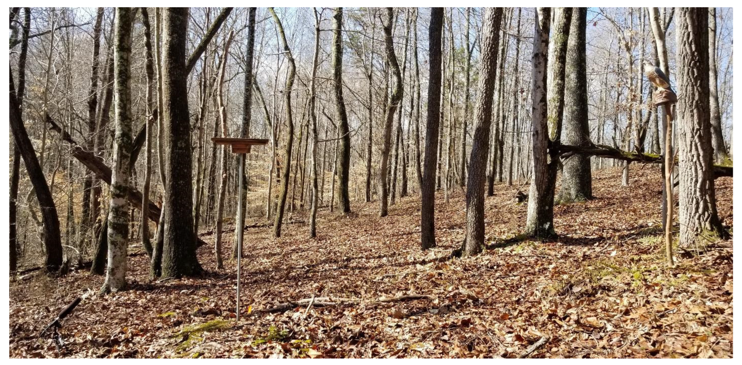 Diversity 17 00363 g001