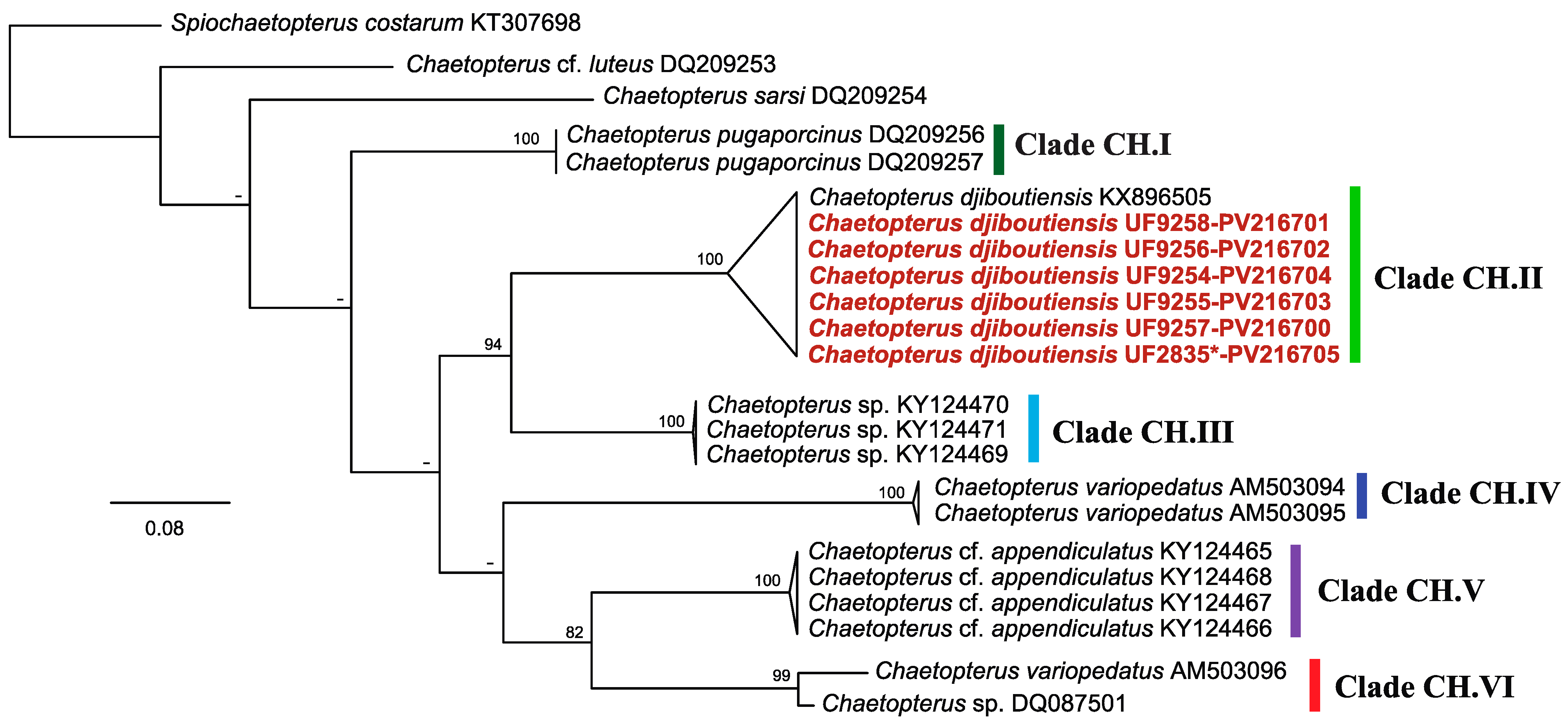 Diversity 17 00366 g004