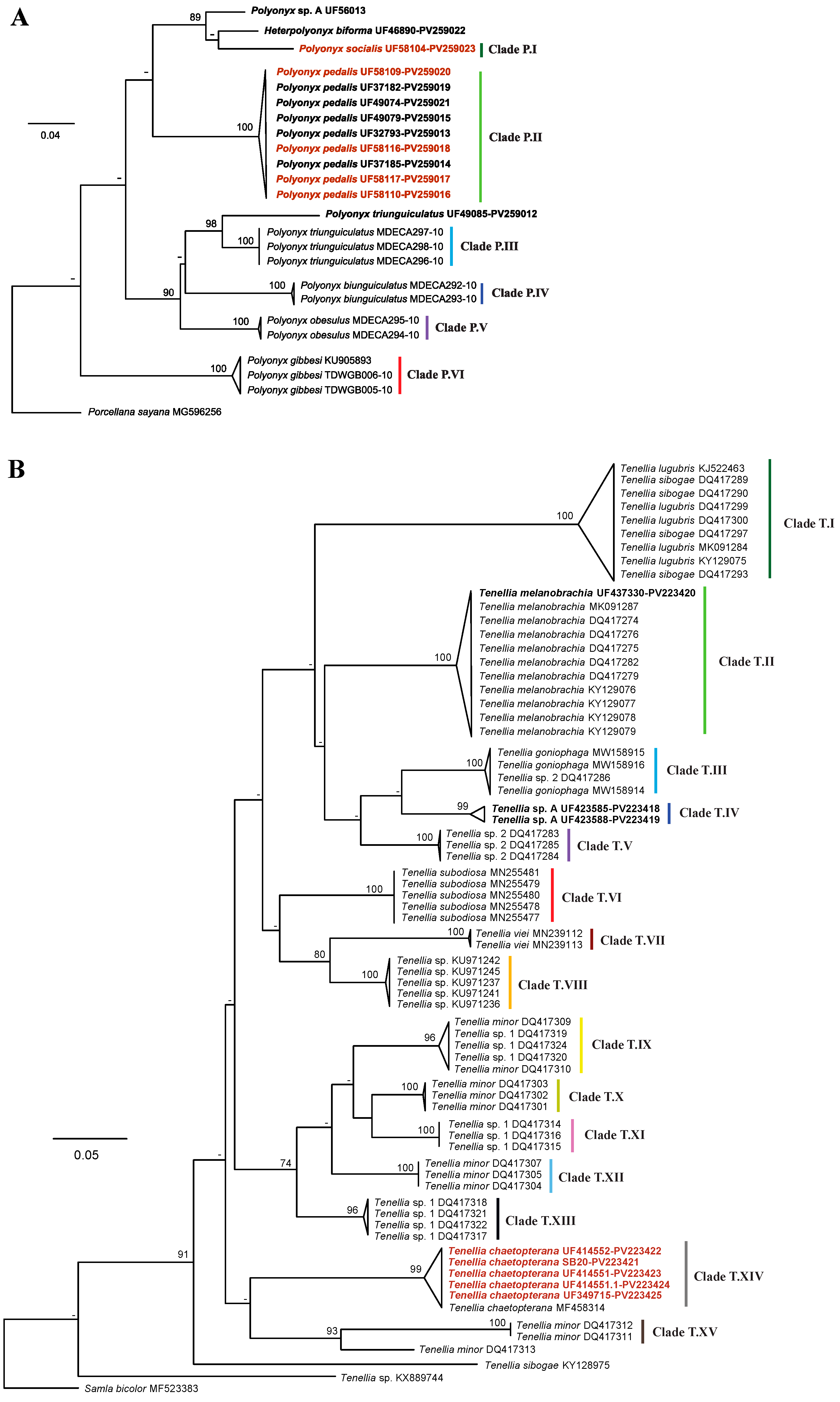 Diversity 17 00366 g005a