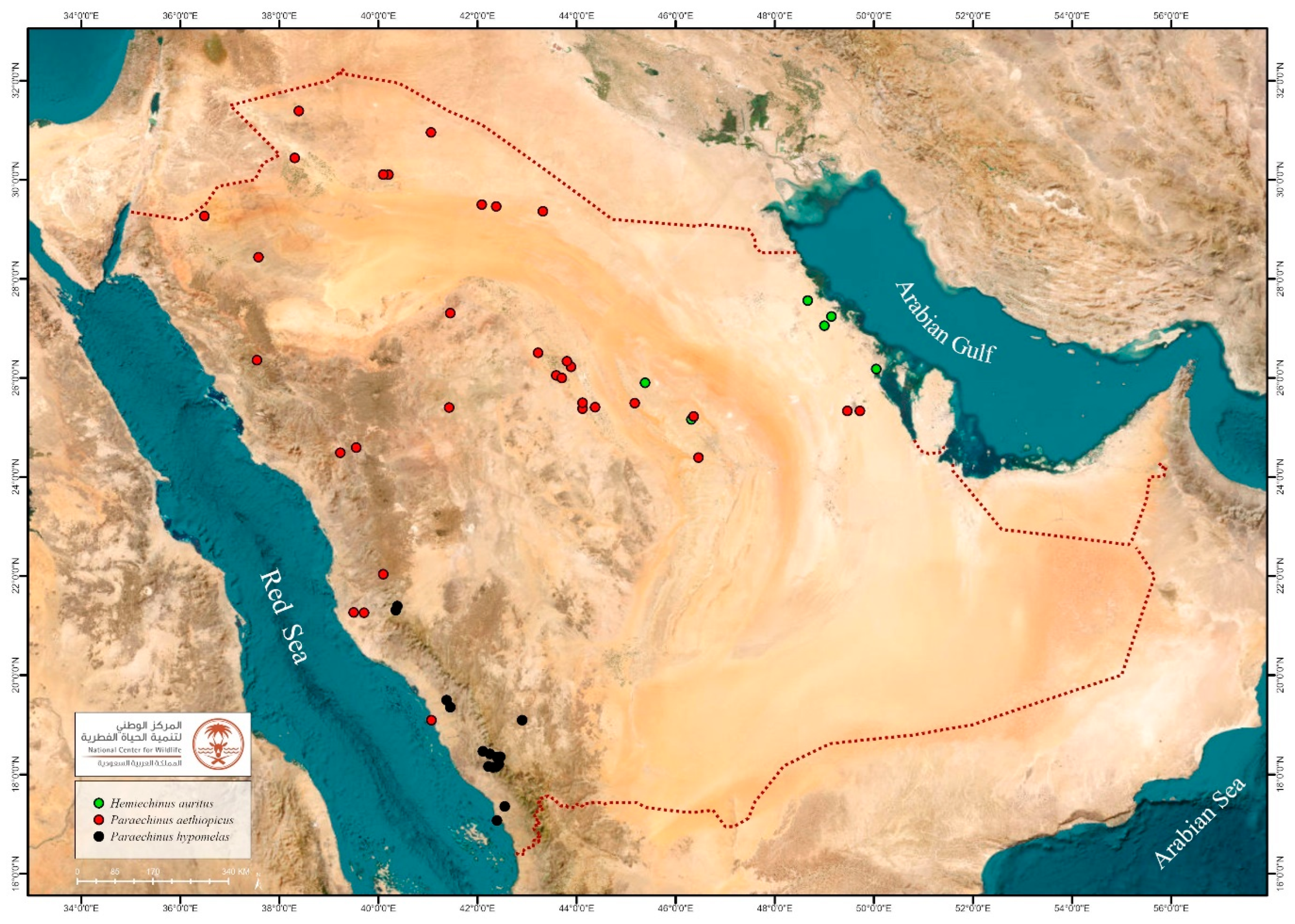 Diversity 17 00368 g003