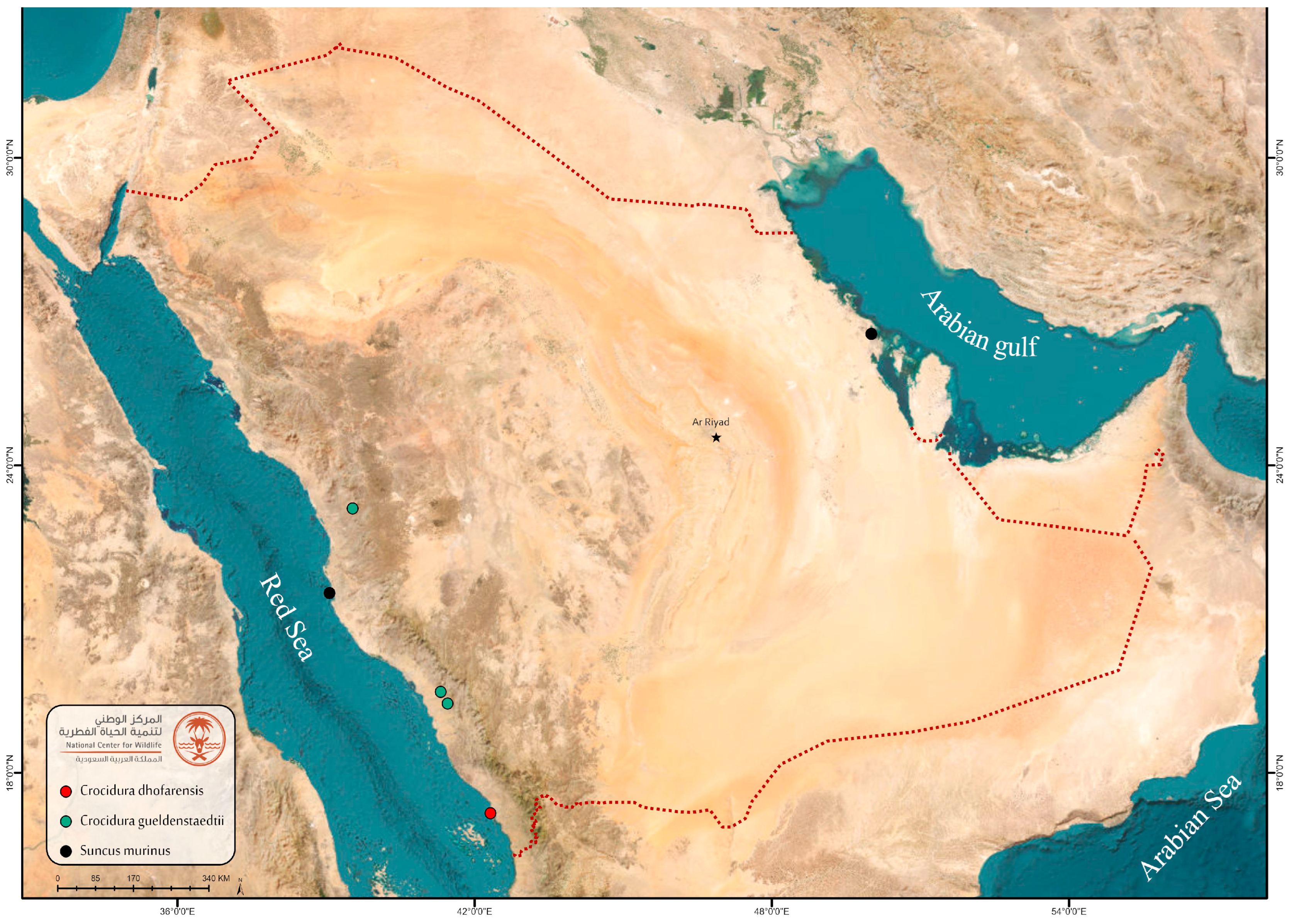 Diversity 17 00368 g009