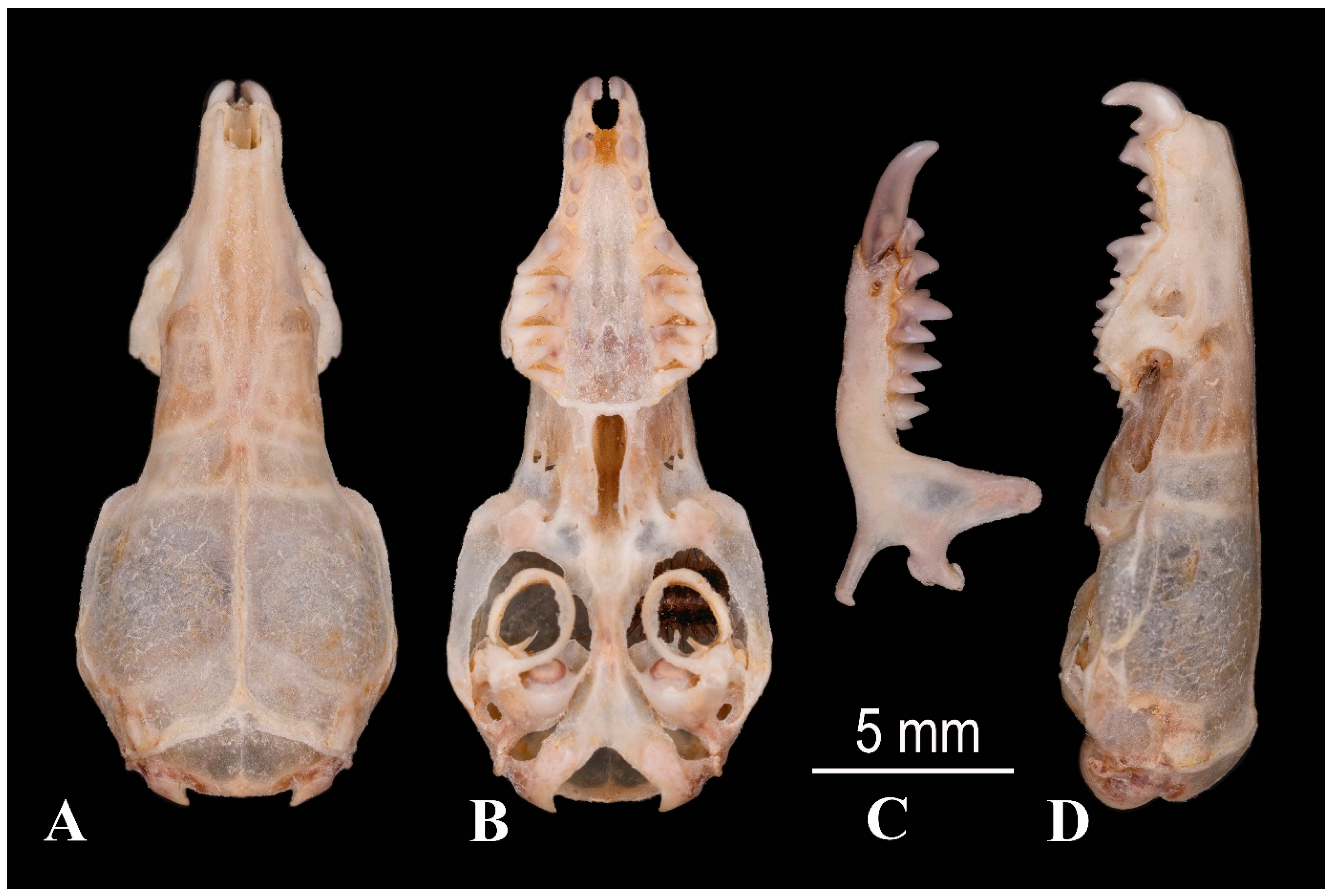 Diversity 17 00368 g013