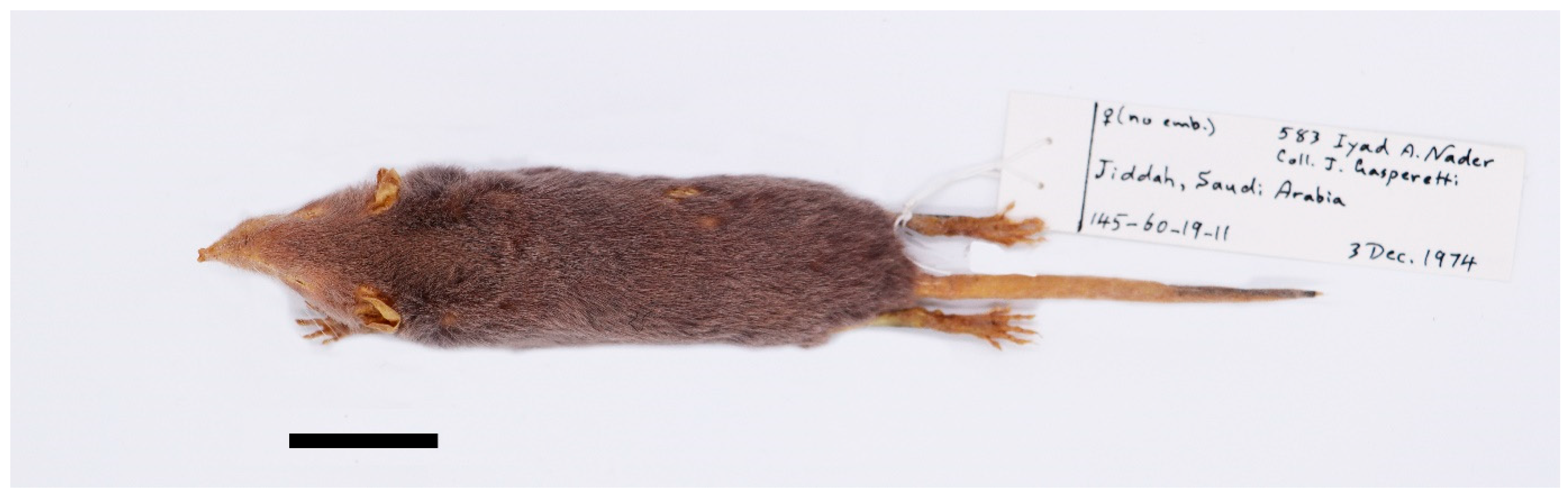 Diversity 17 00368 g015