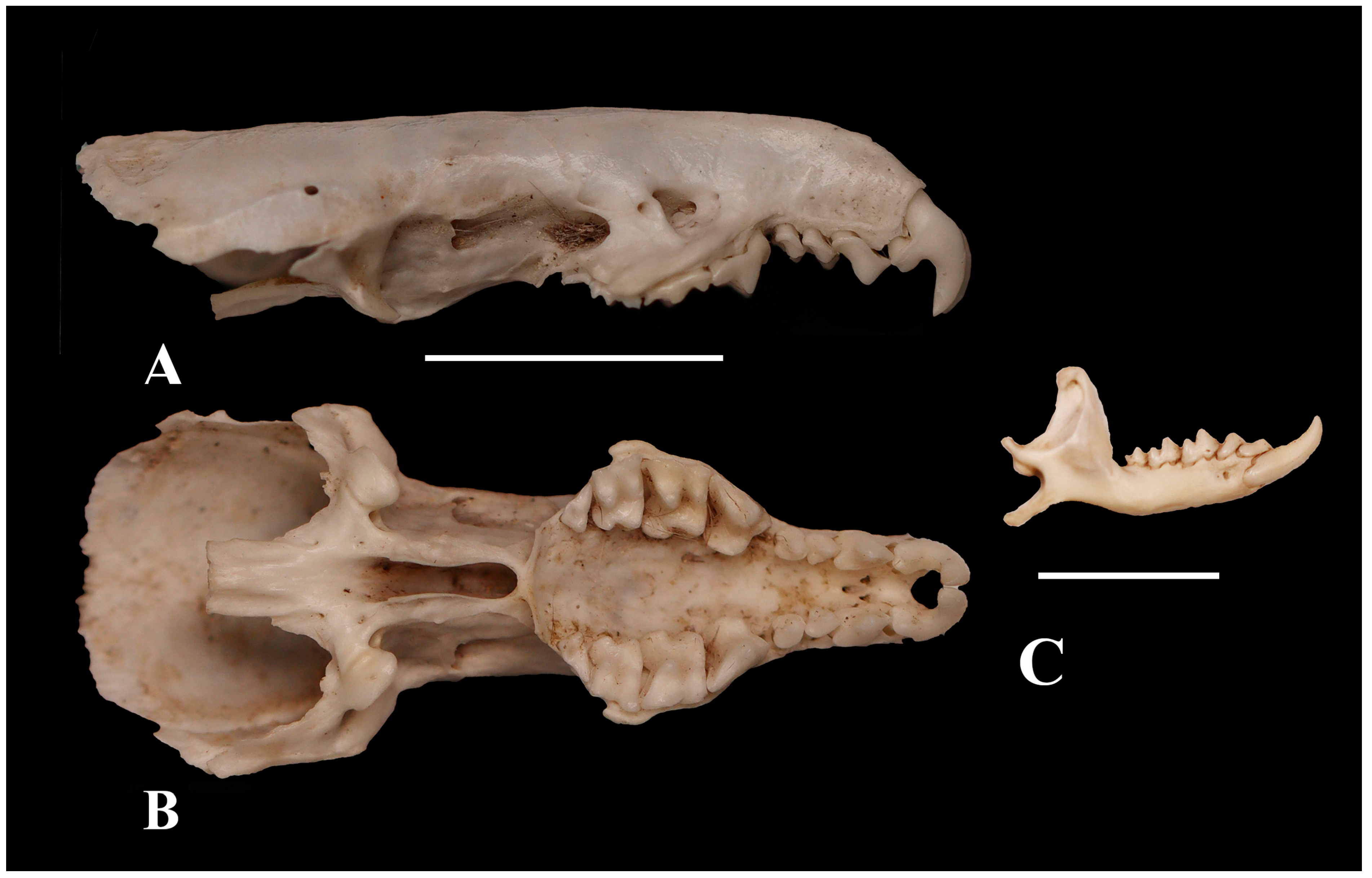 Diversity 17 00368 g016