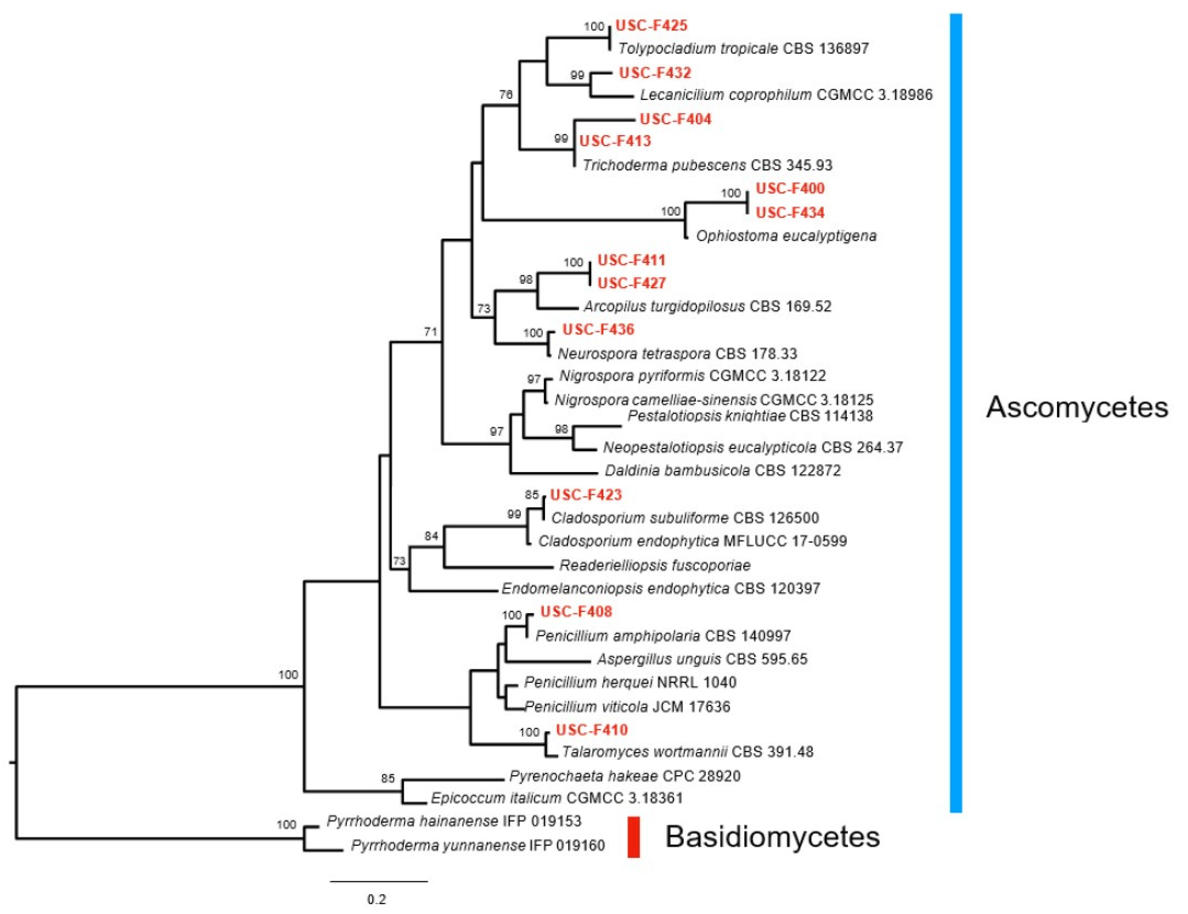 Diversity 17 00370 g001