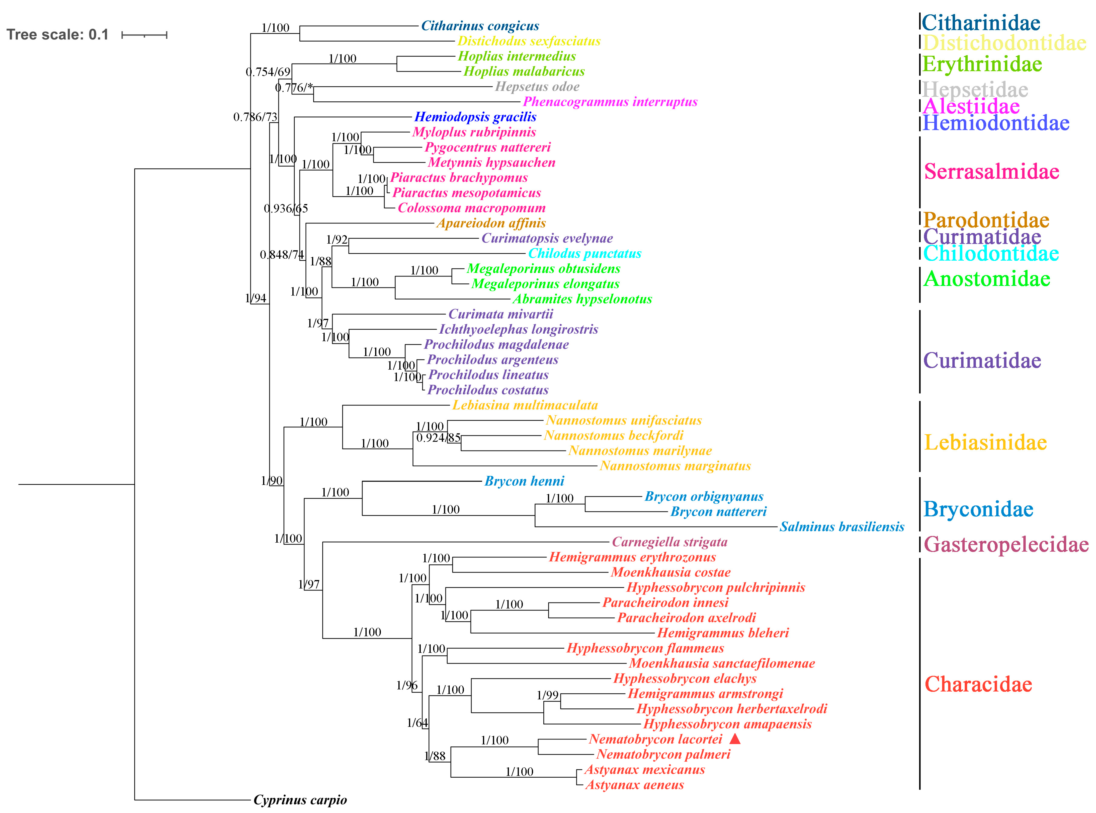Diversity 17 00373 g006