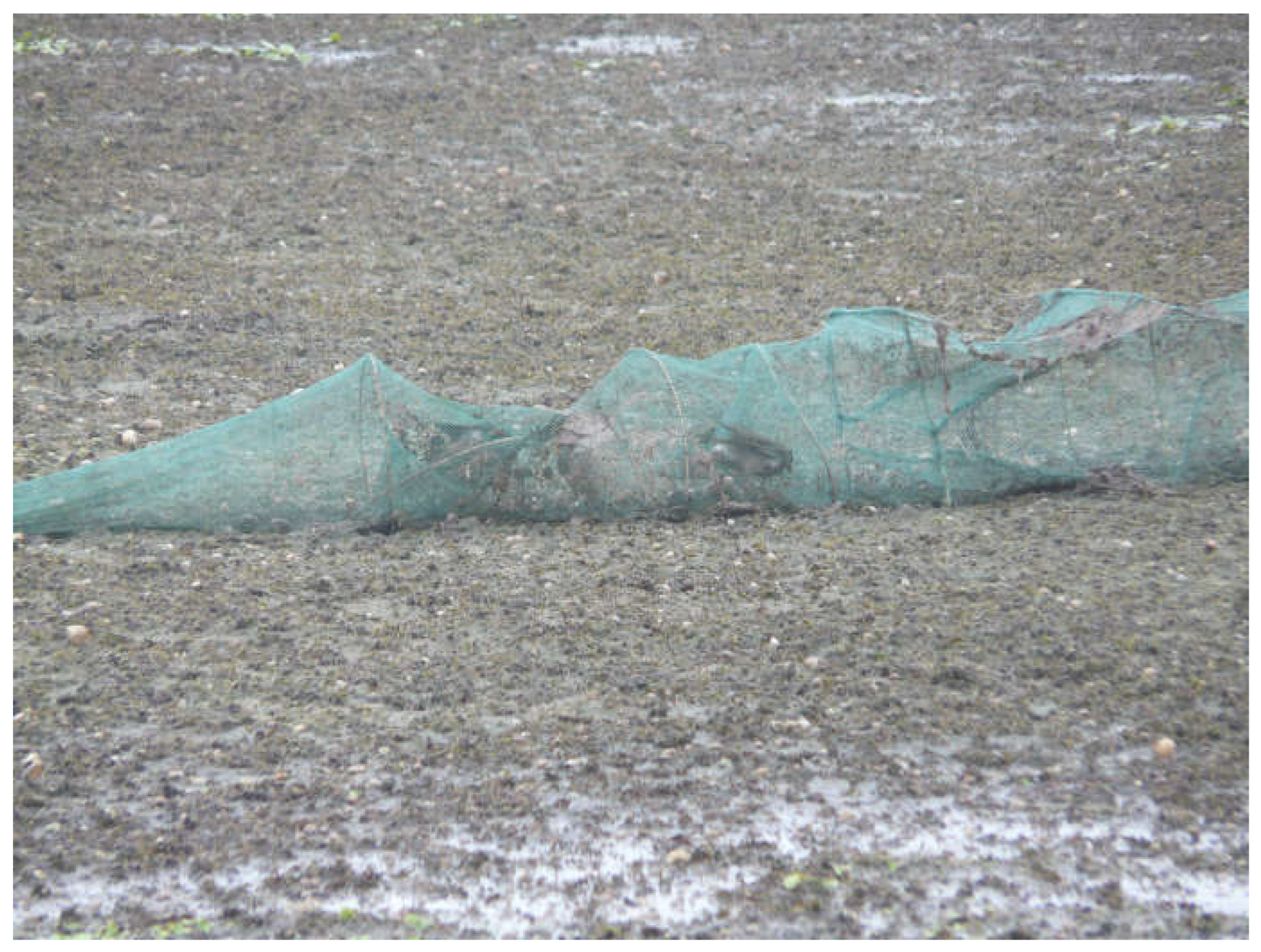 Diversity 17 00374 g001