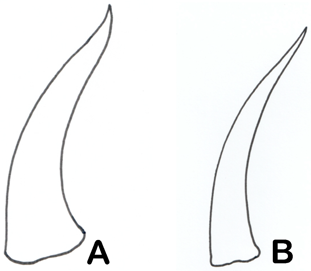 Diversity 17 00375 g004 Diversity 17 00375 g004