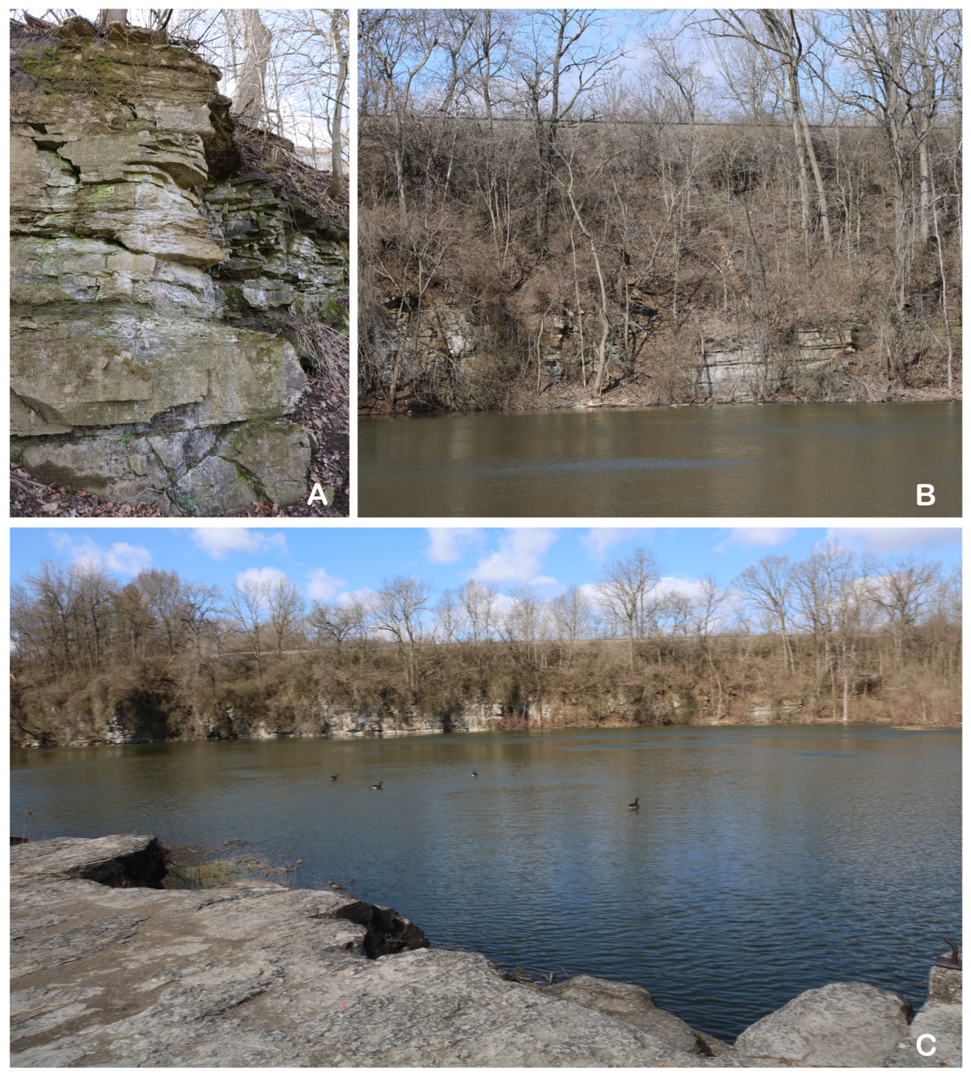 Diversity 17 00375 g005 Diversity 17 00375 g005