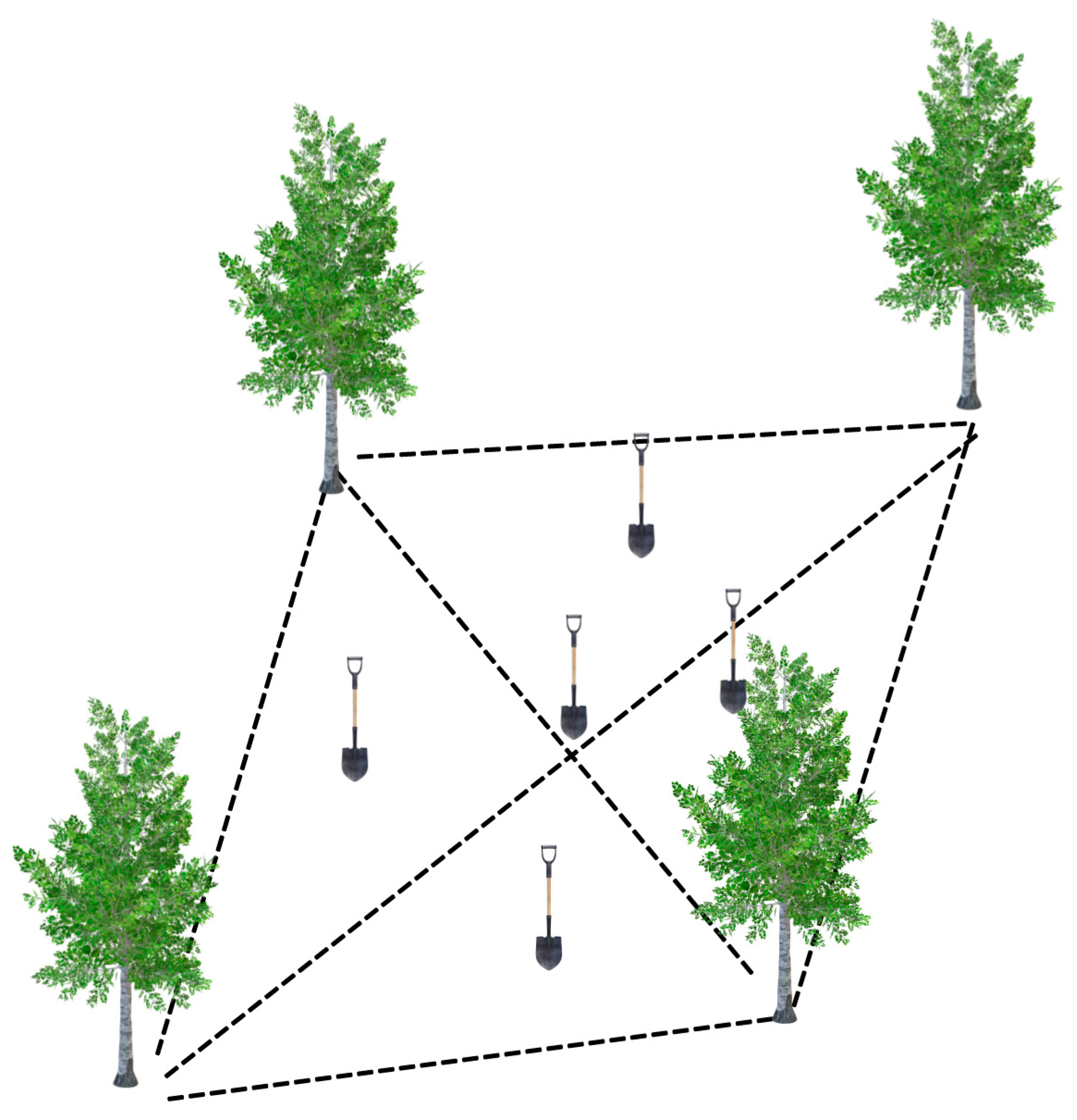 Diversity 17 00376 g002