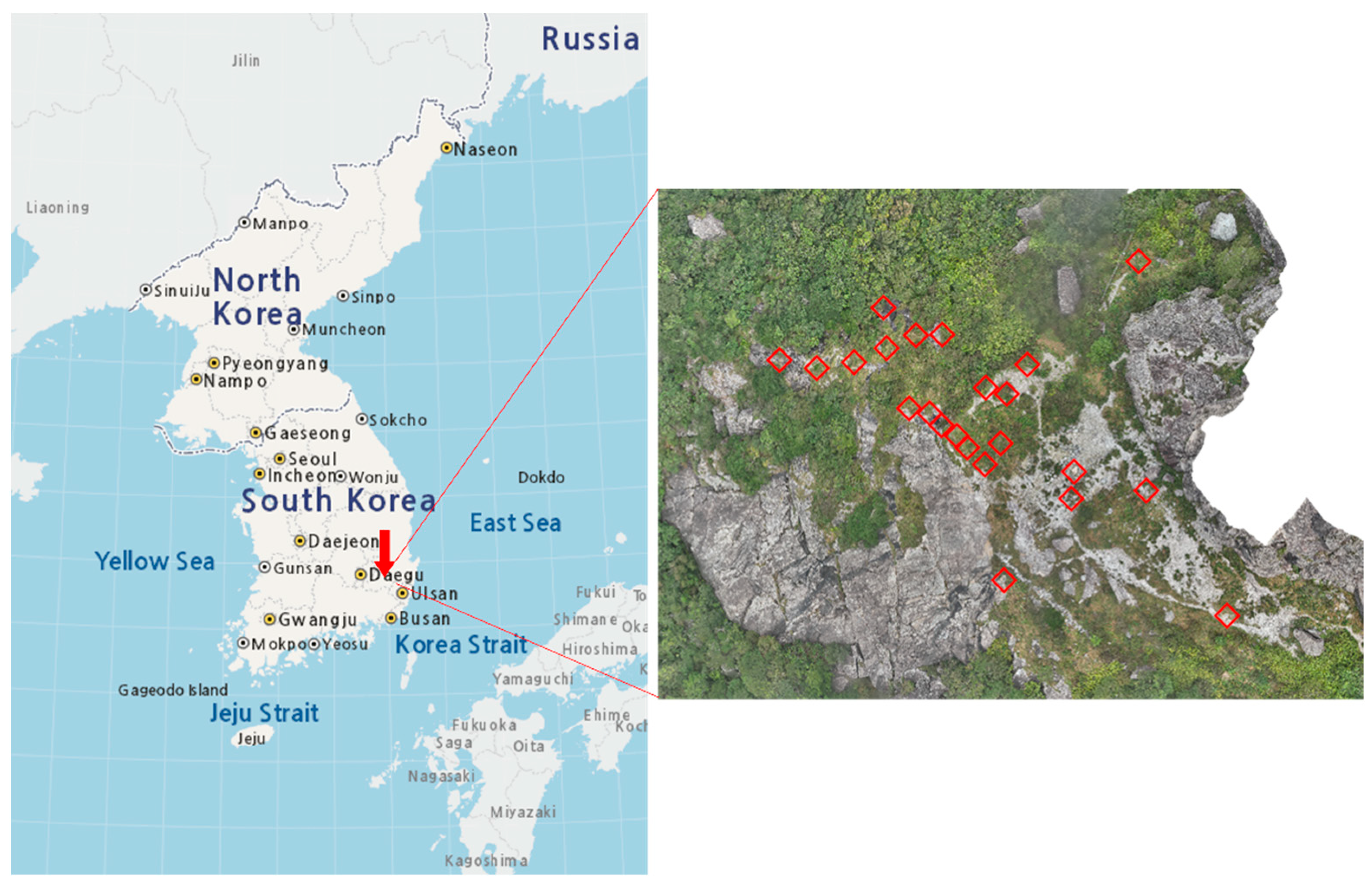 Diversity 17 00377 g0a1 Diversity 17 00377 g0a1