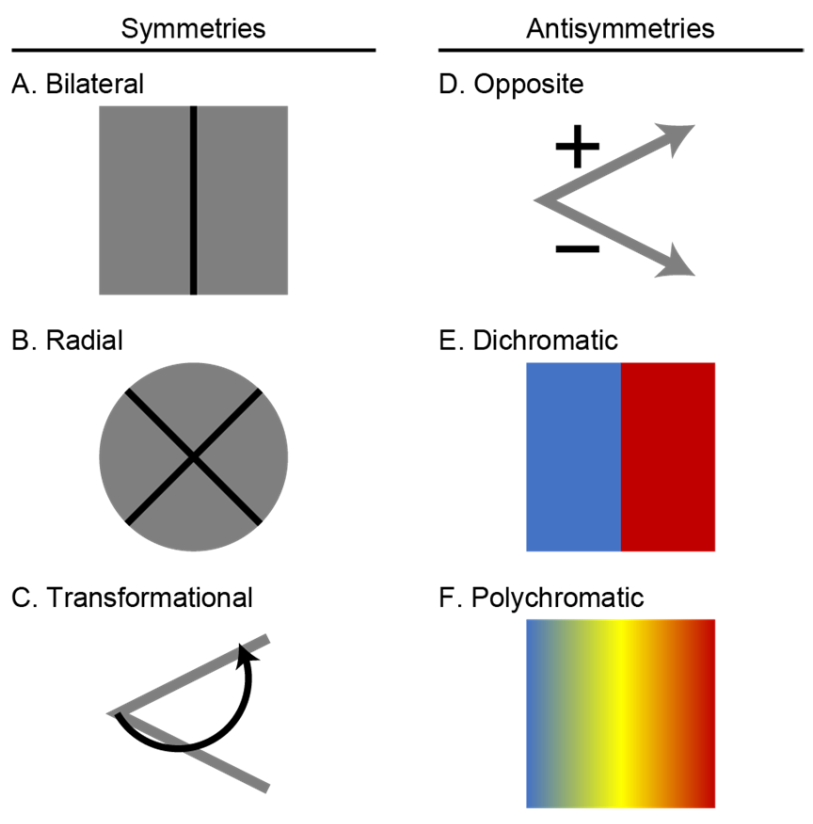 Diversity 17 00379 g001