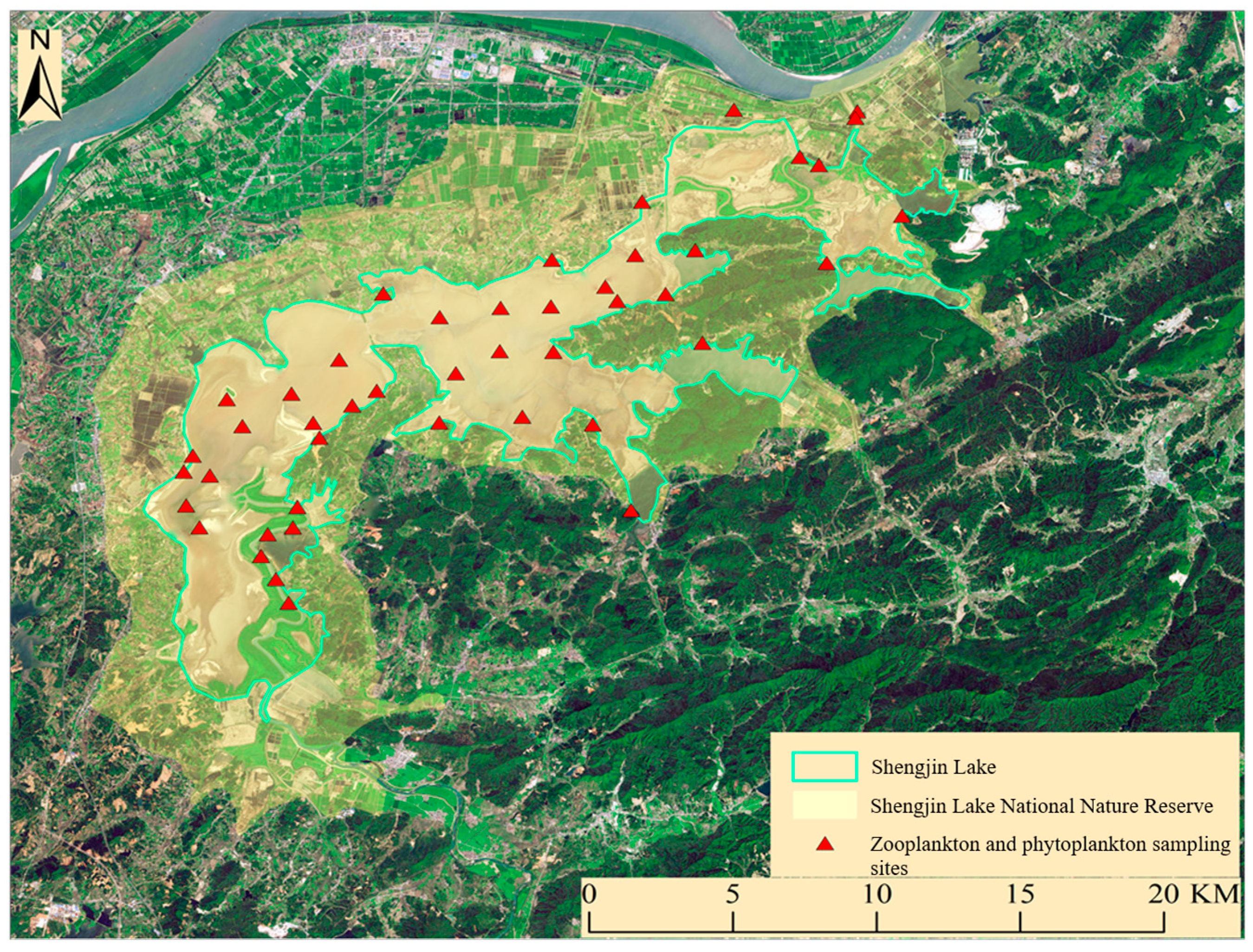 Diversity 17 00382 g001