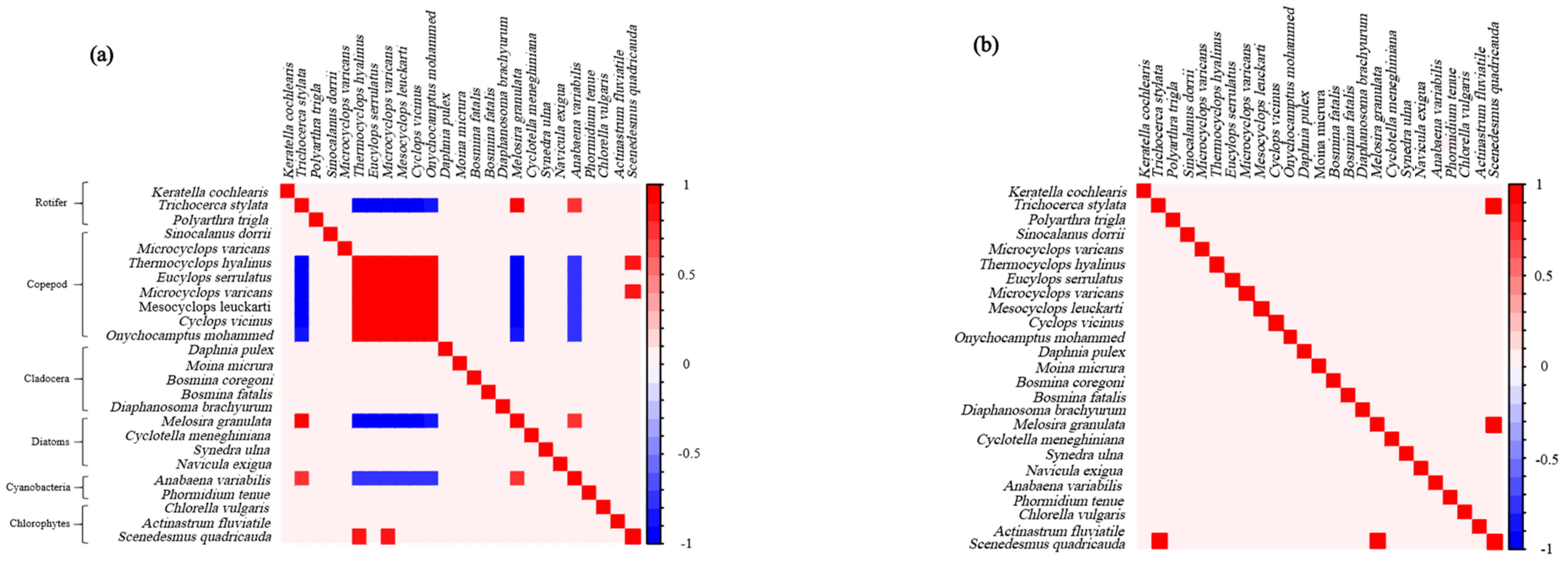 Diversity 17 00382 g002