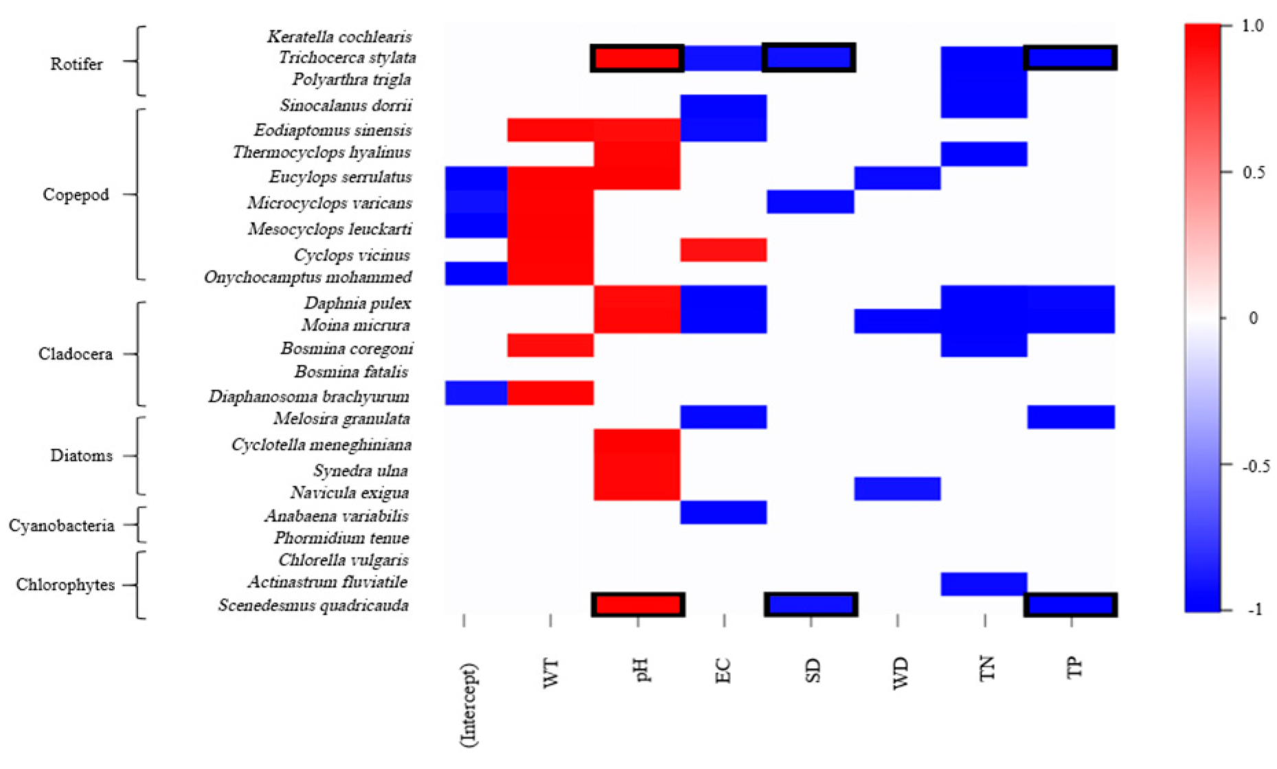 Diversity 17 00382 g004