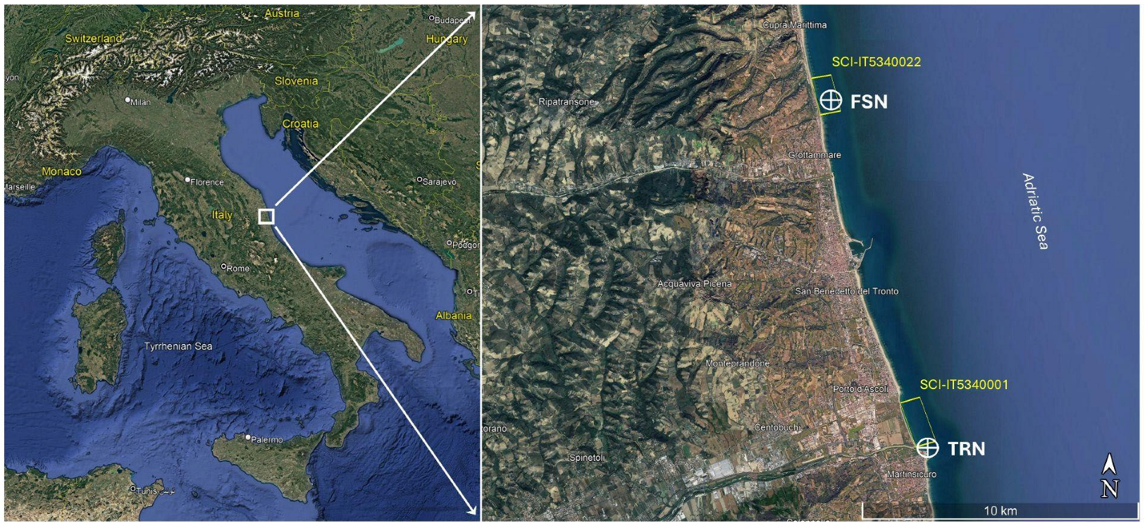 Diversity 17 00385 g001