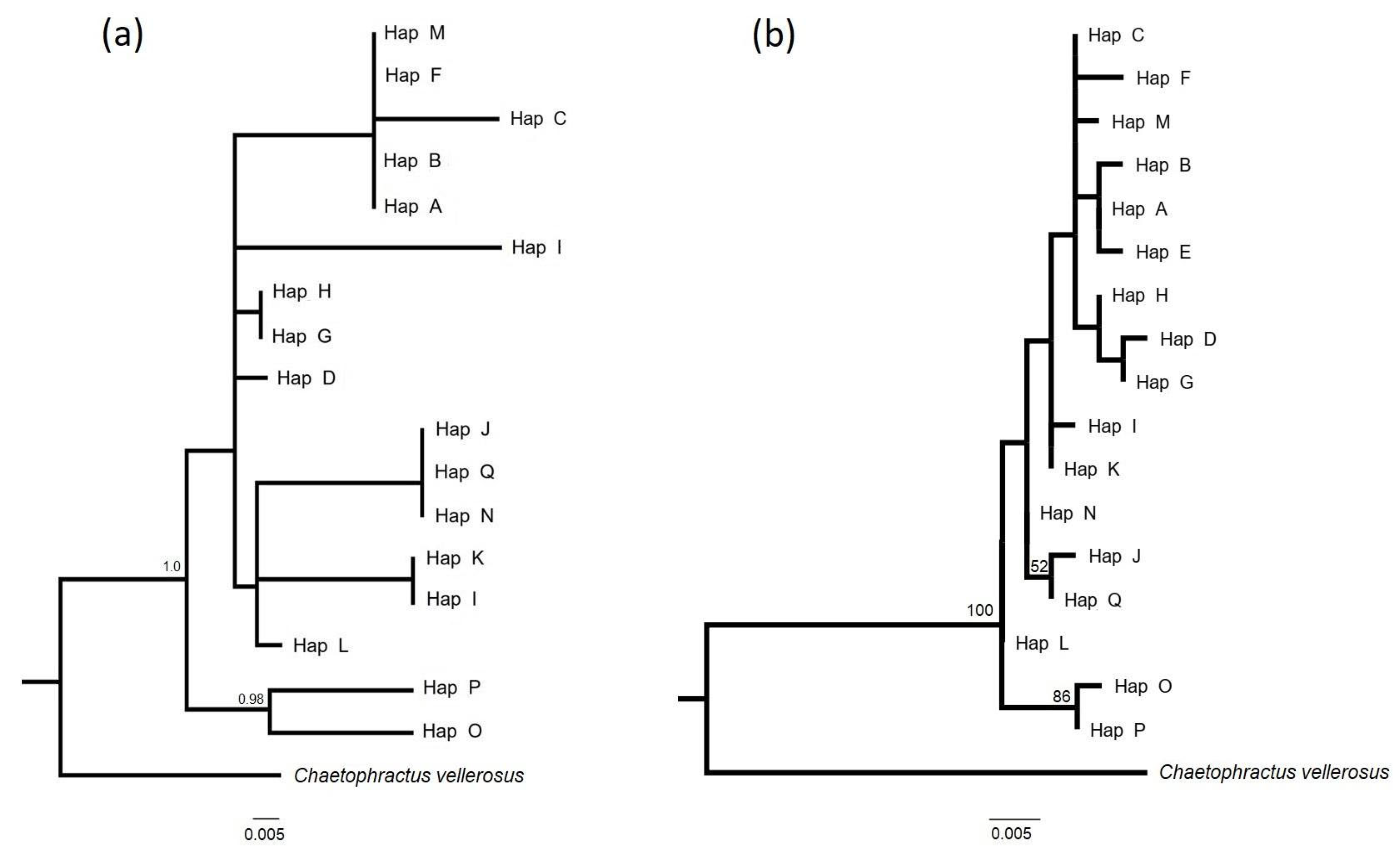 Diversity 17 00390 g002