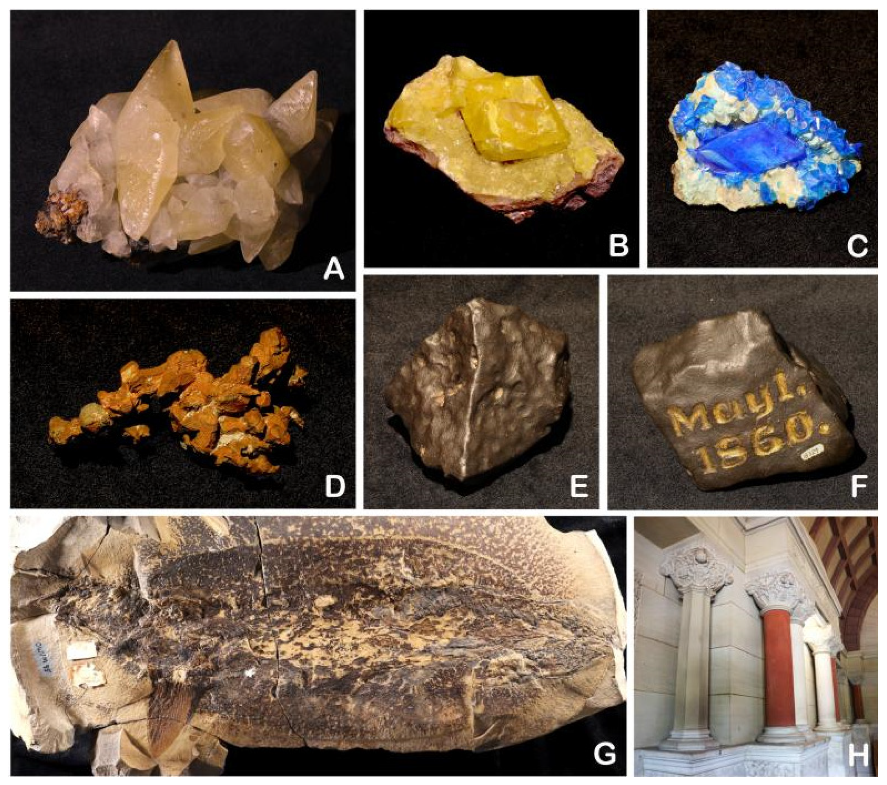 Diversity 17 00392 g001