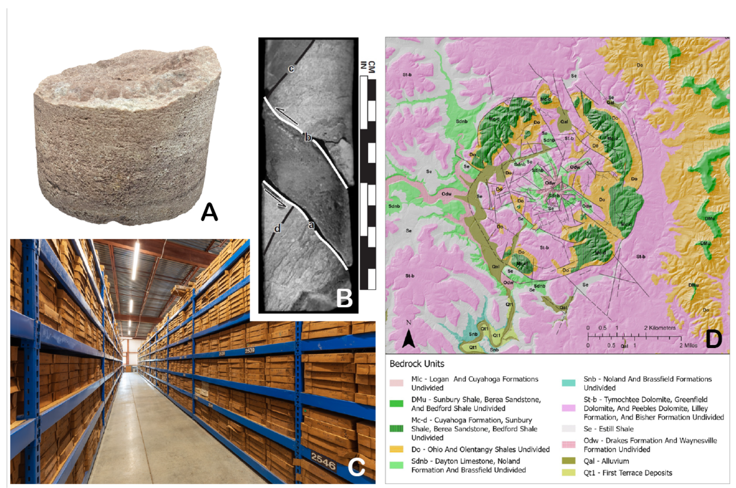 Diversity 17 00392 g006