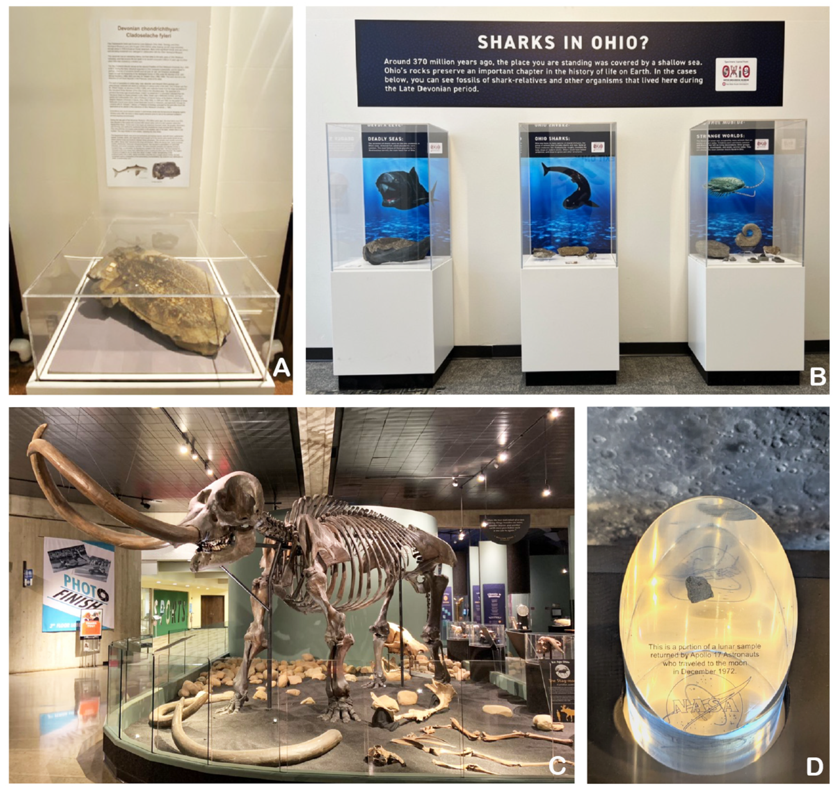 Diversity 17 00392 g008