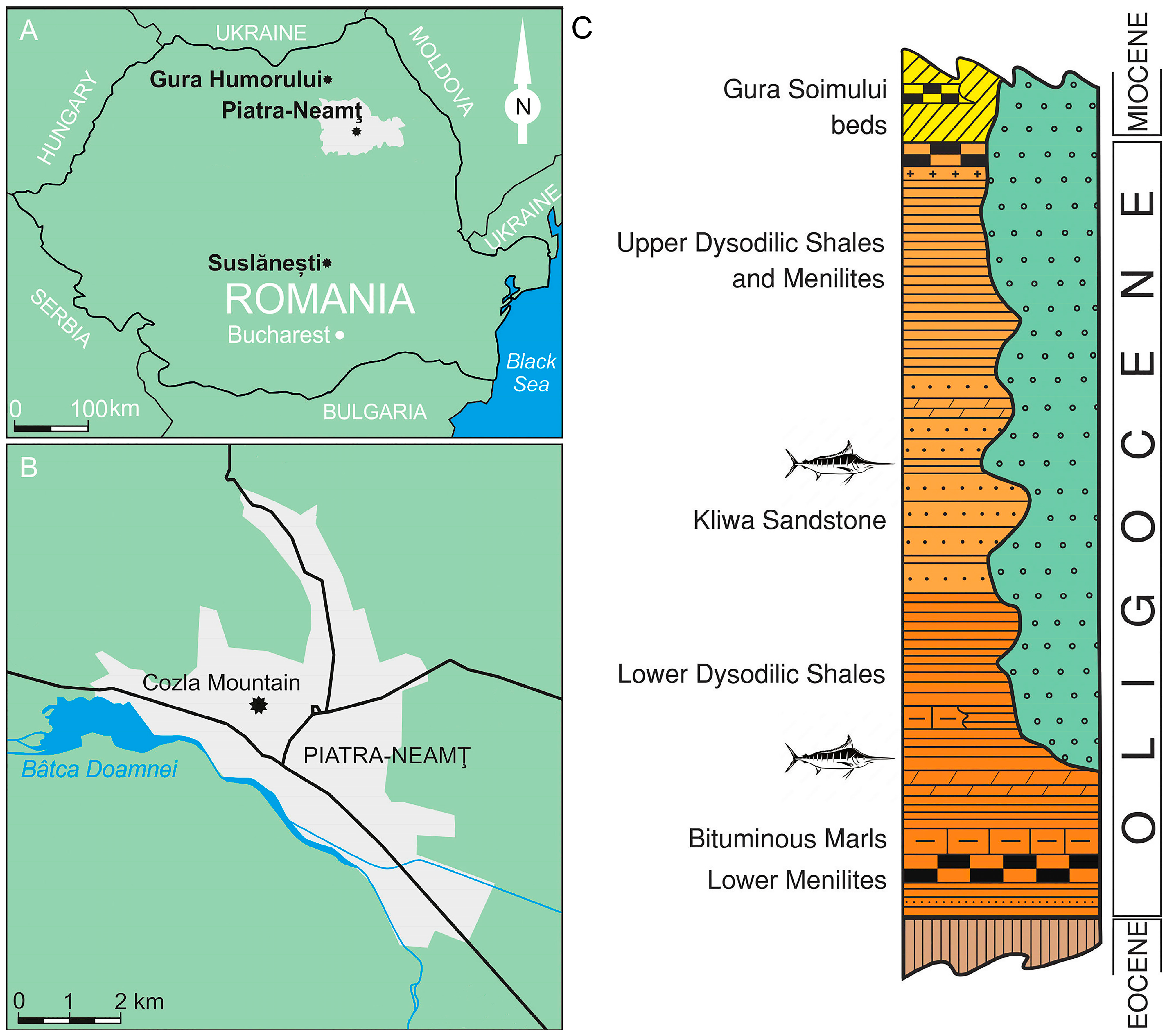Diversity 17 00393 g001