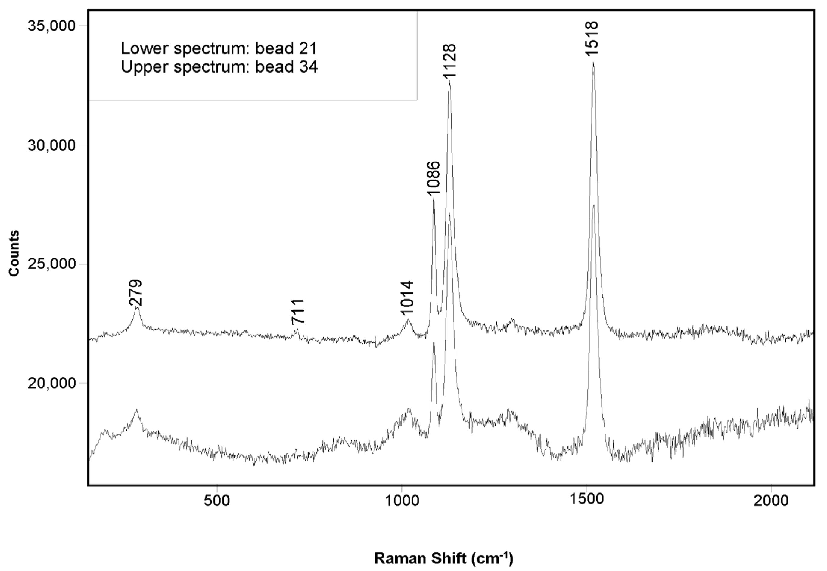 Diversity 17 00395 g002