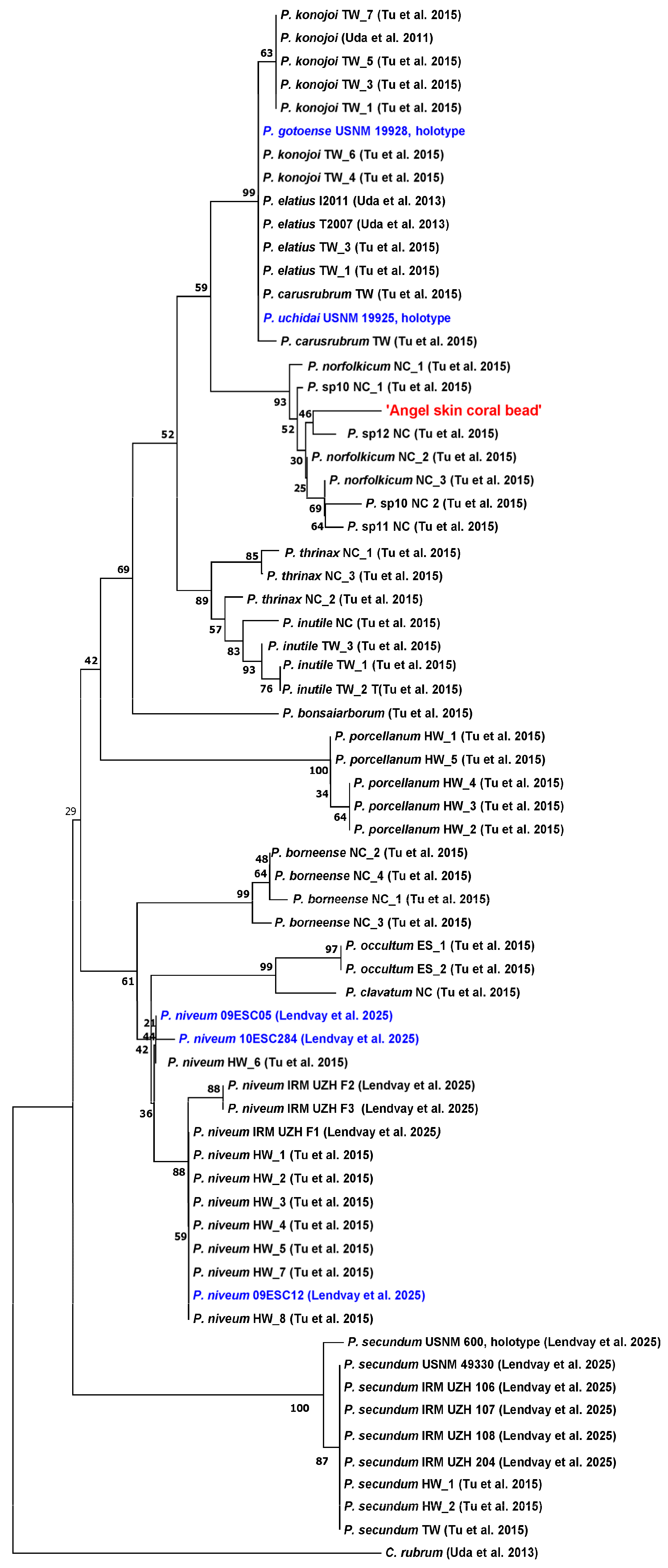 Diversity 17 00395 g003