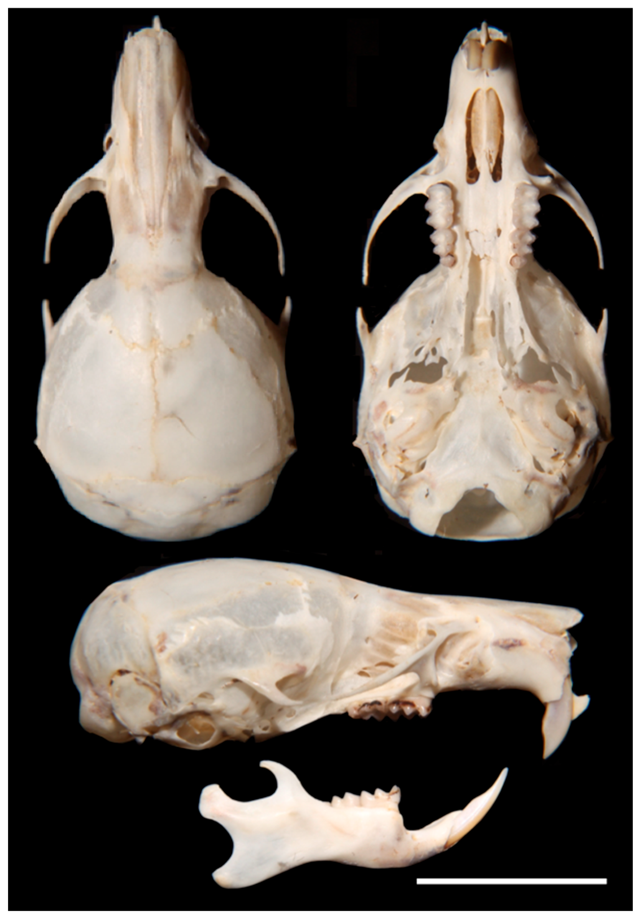 Diversity 17 00406 g008 Diversity 17 00406 g008