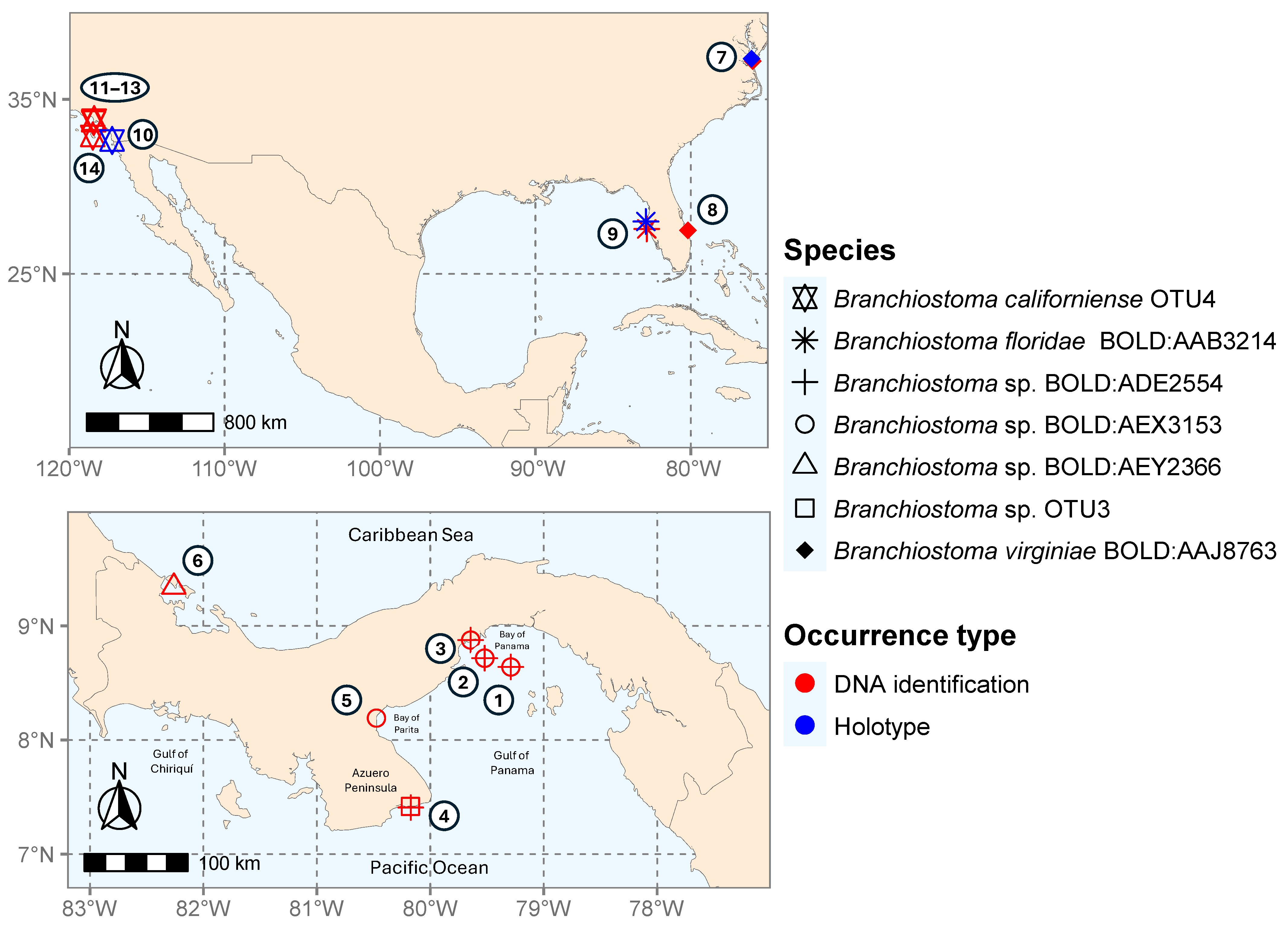 Diversity 17 00411 g002