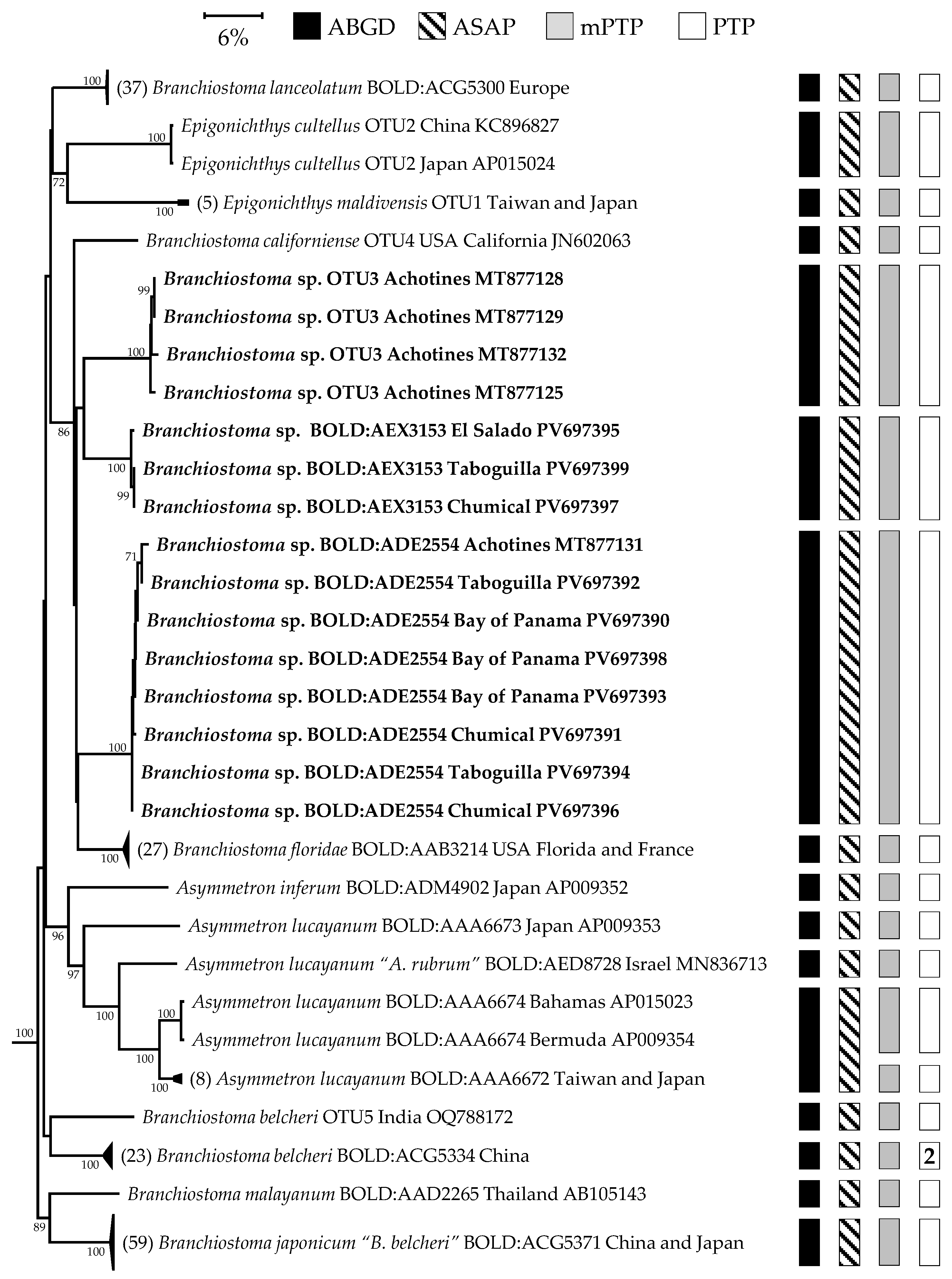 Diversity 17 00411 g005