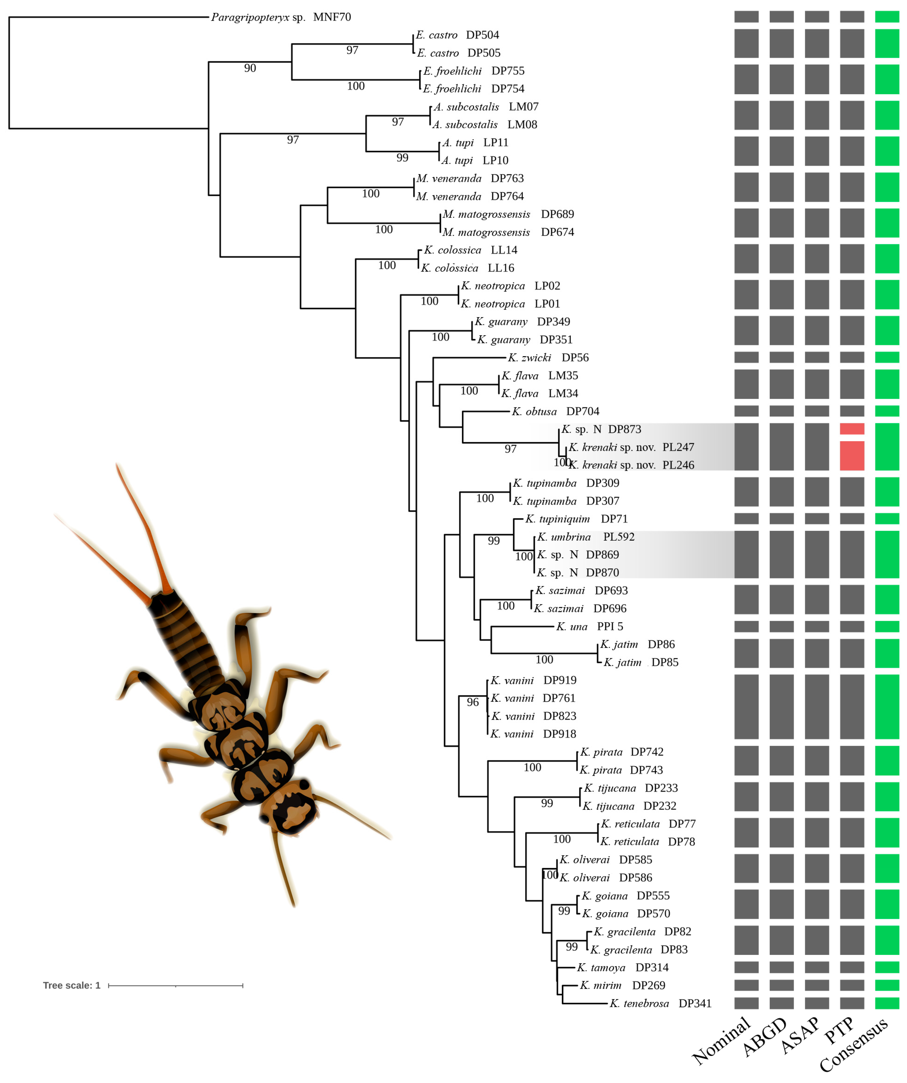 Diversity 17 00416 g001